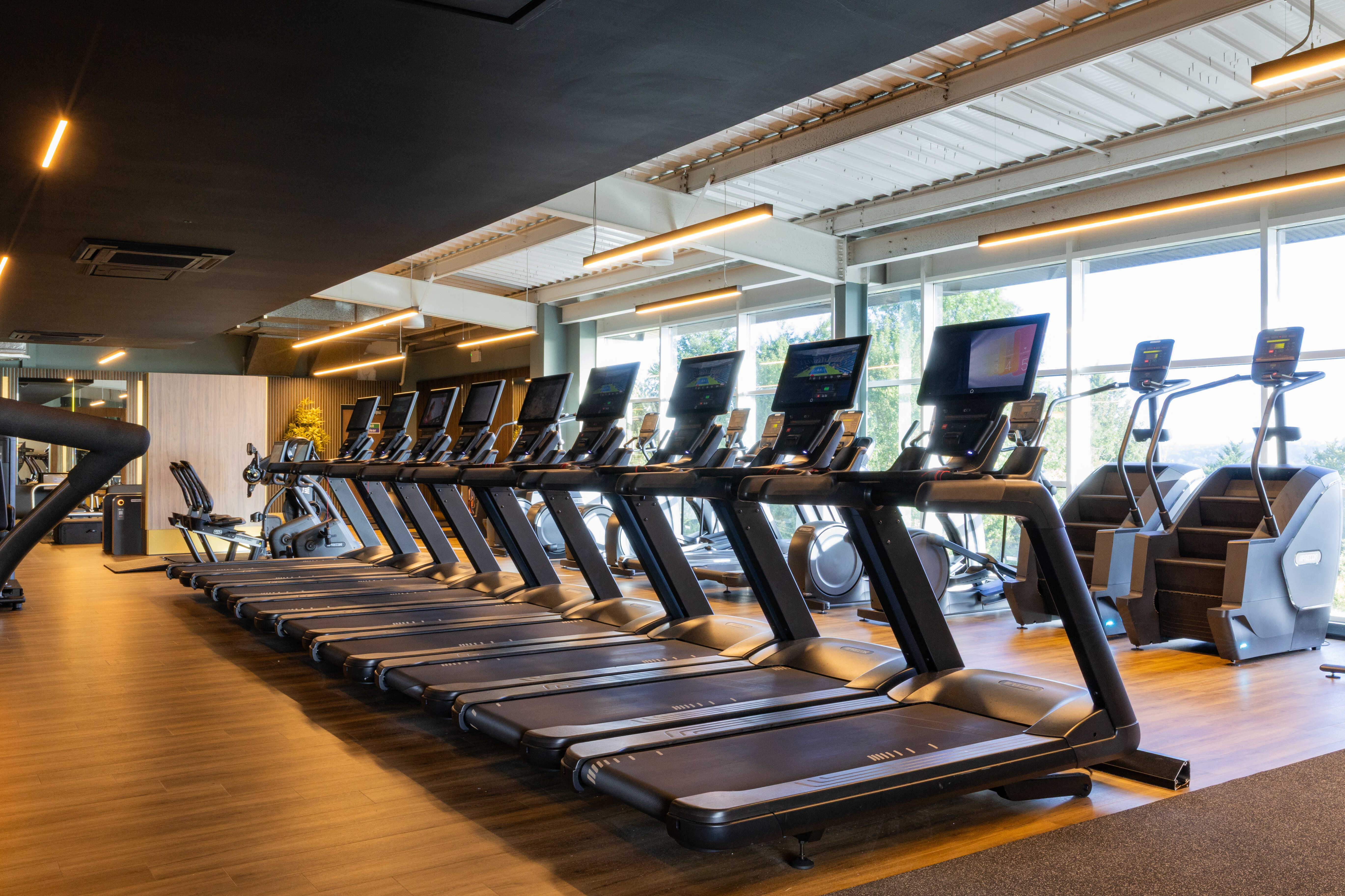 A row of treadmills in front of a window