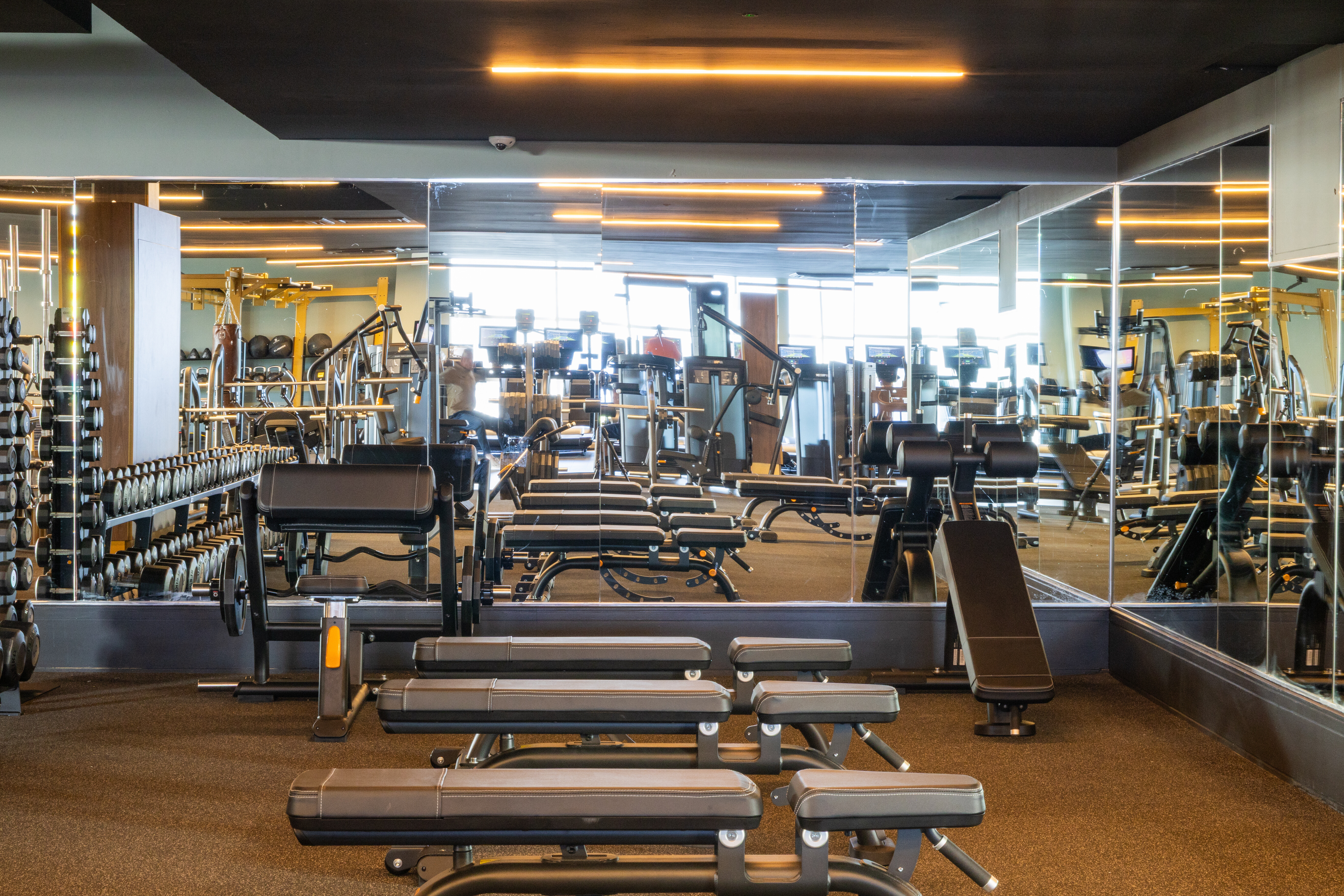 Modern gym with rows of benches and free weights in front of a mirror