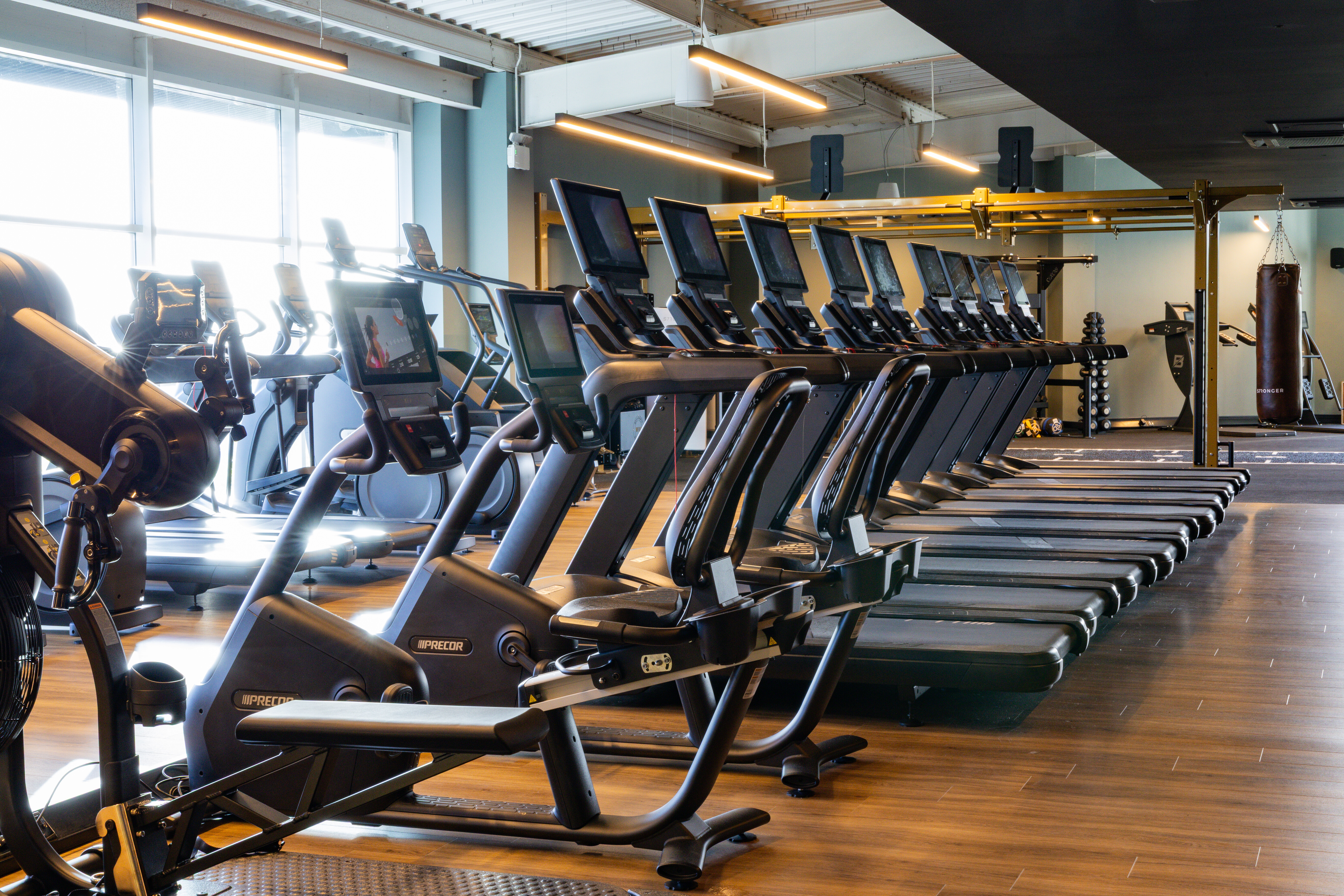 Bikes and treadmills at David Lloyd Luton