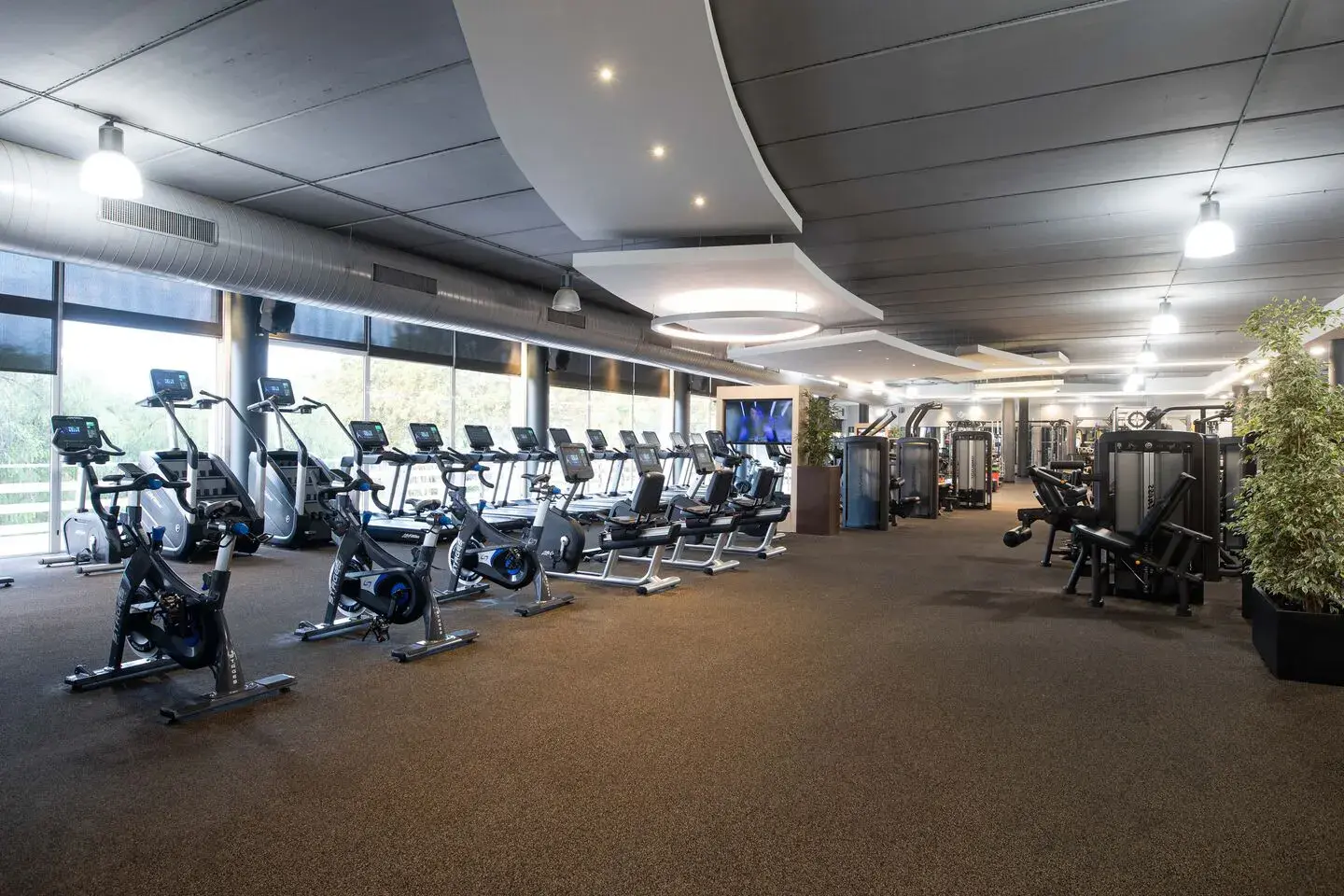 Gym at David Lloyd Clubs