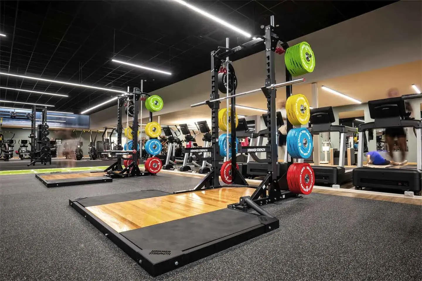 Gym at David Lloyd Clubs