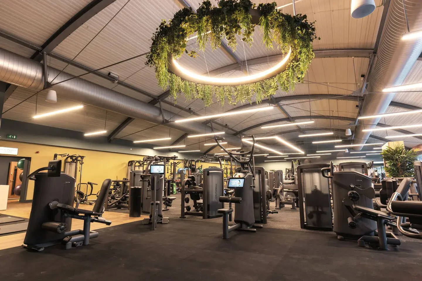 The gym floor