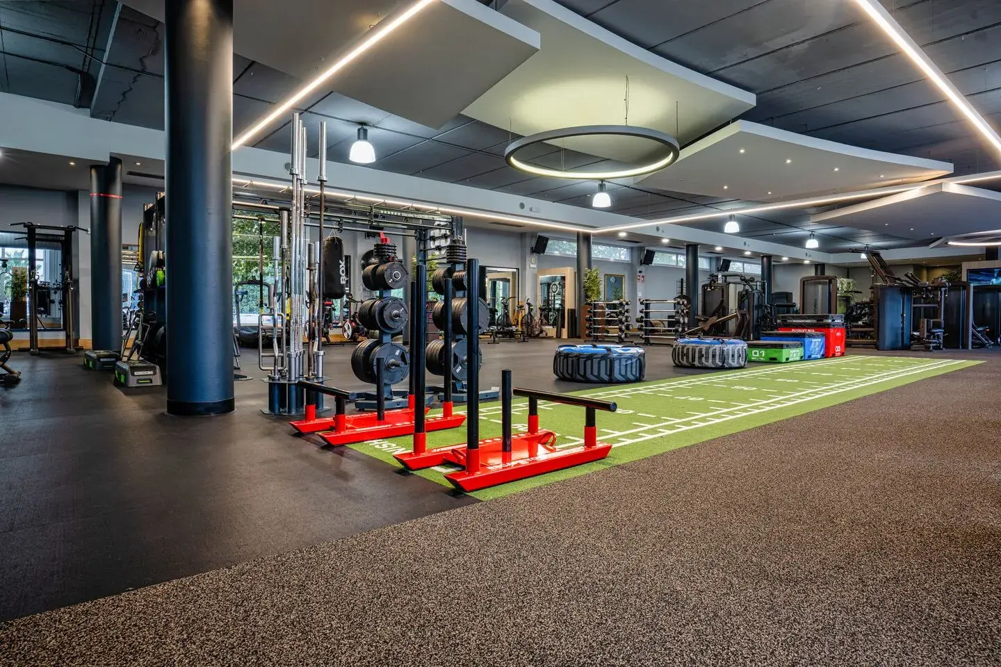 Gym at David Lloyd Clubs