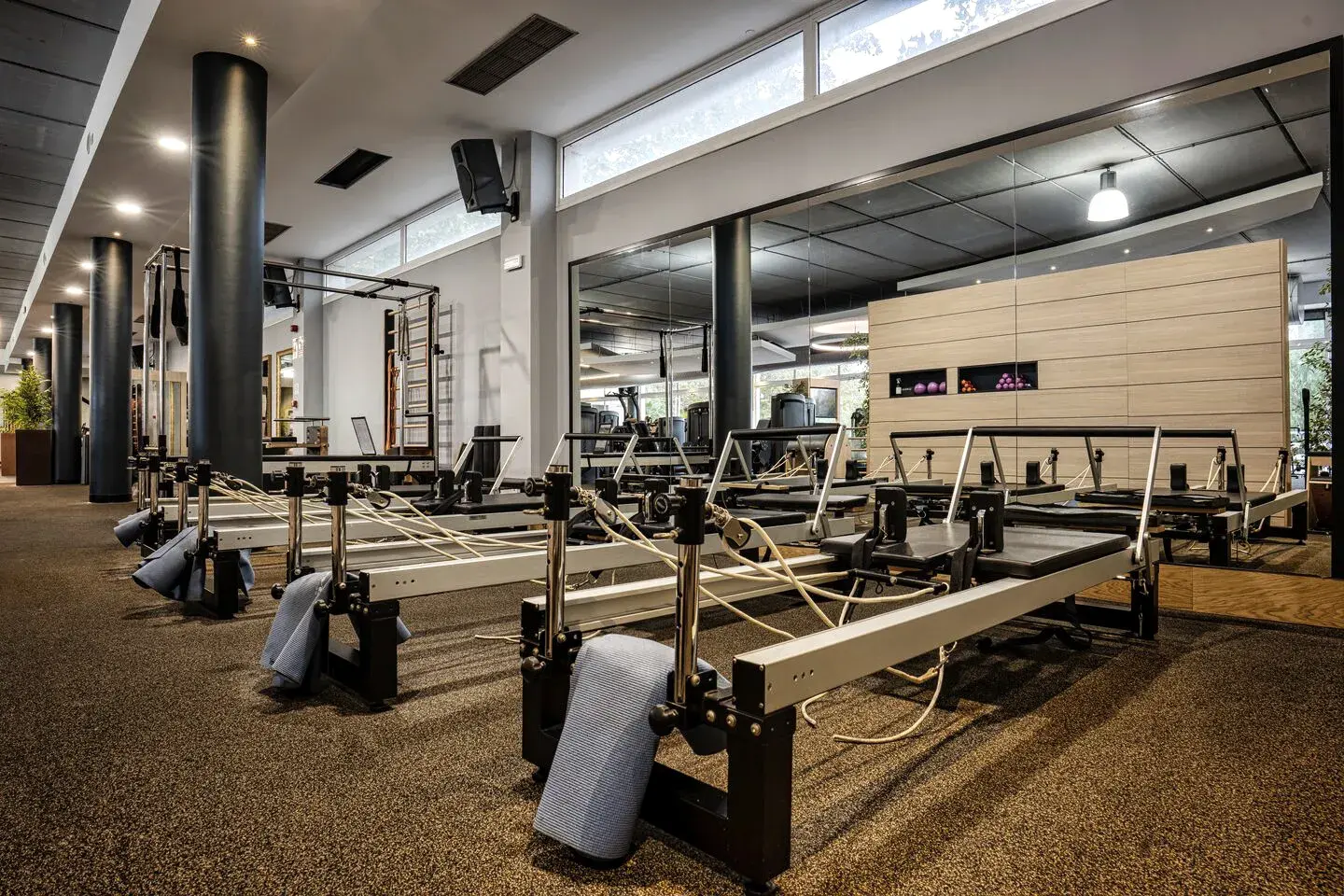 Gym at David Lloyd Clubs