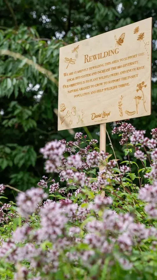 Rewilding garden