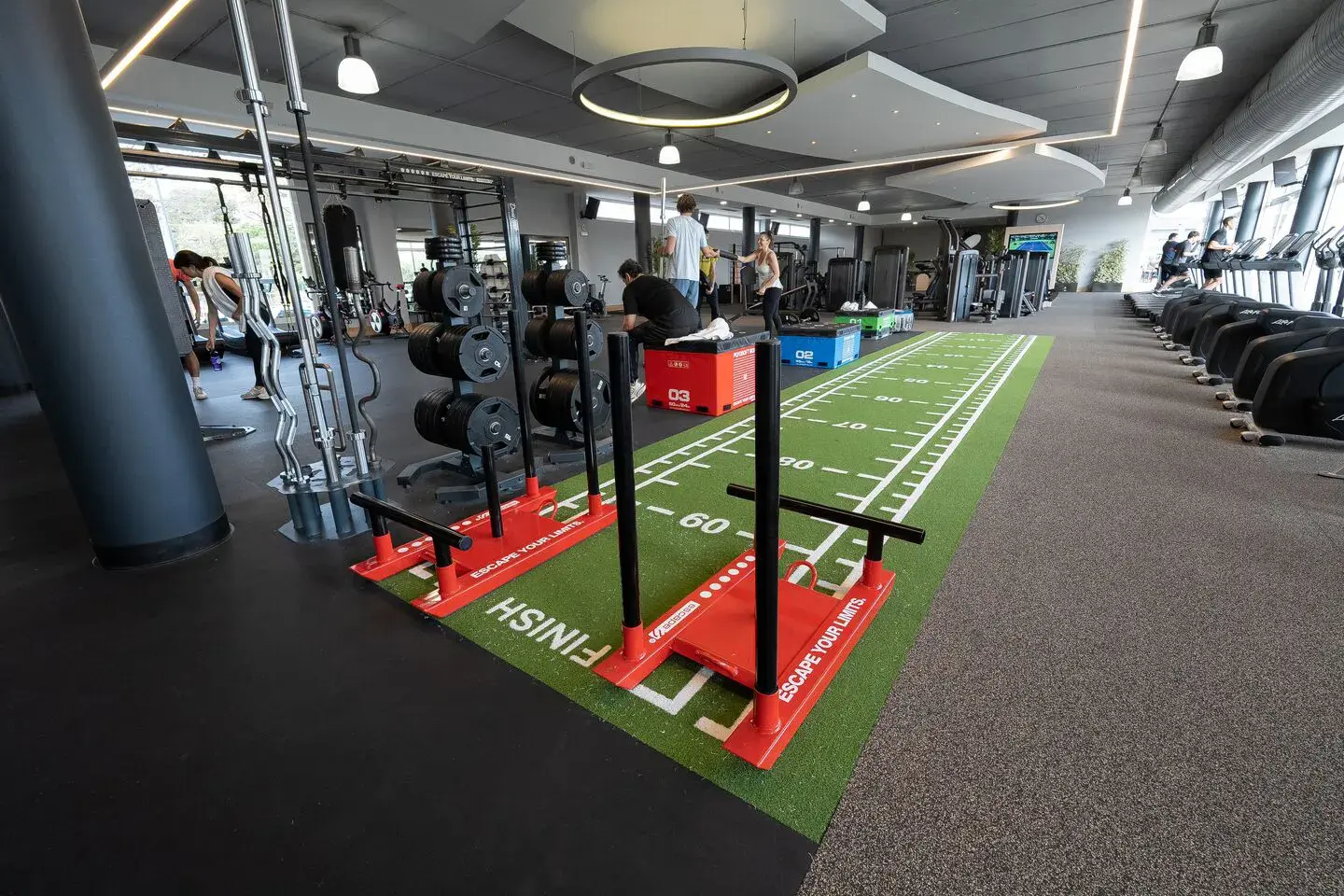 The gym floor