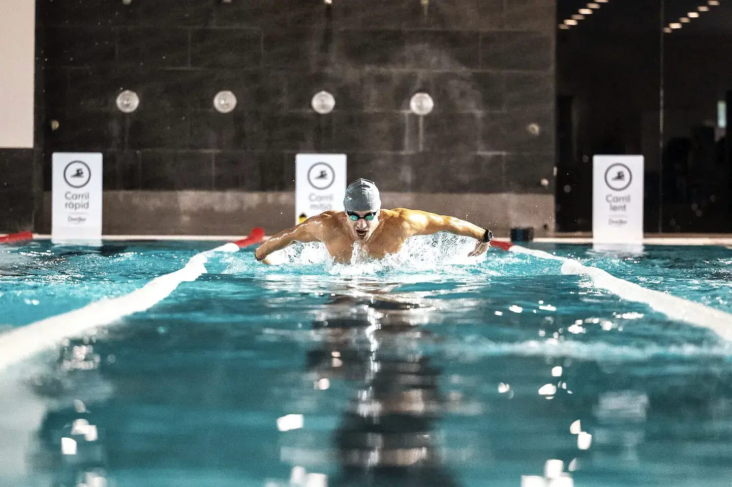A man swimming front crawl