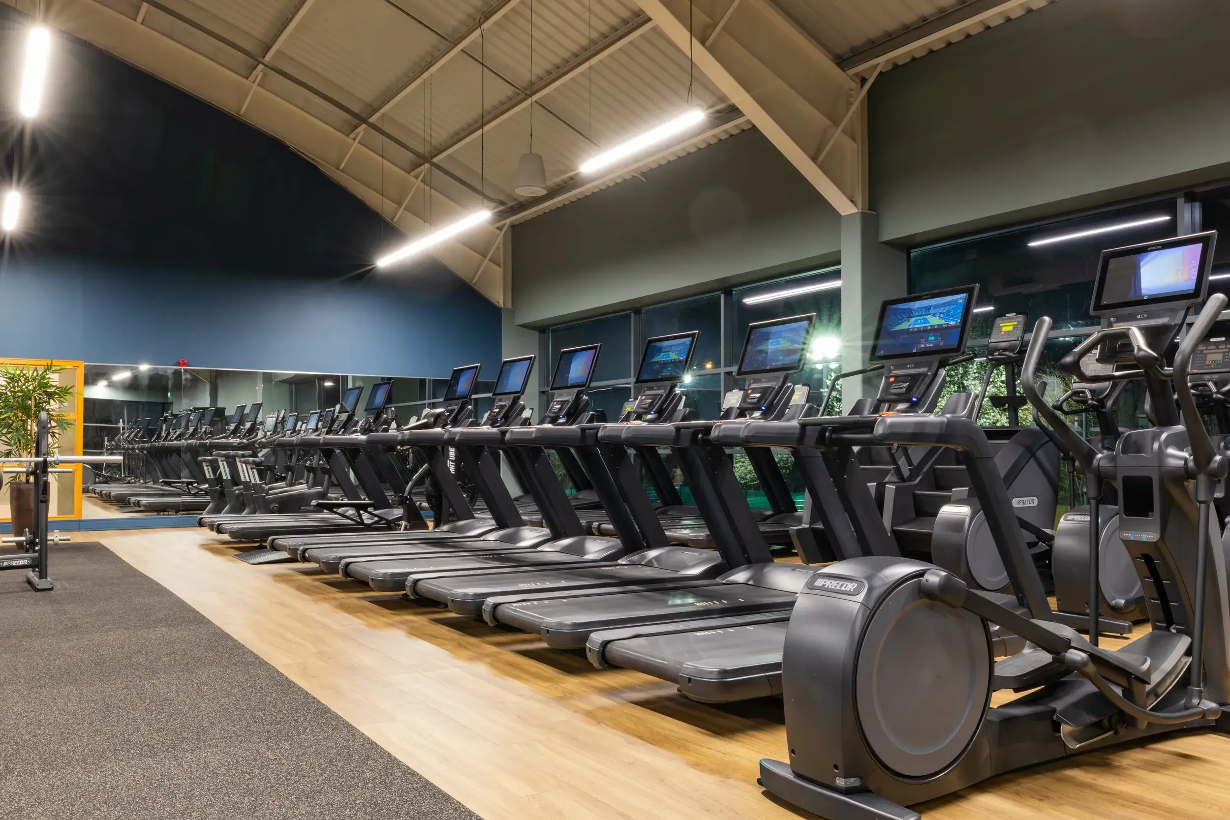Treadmills and cross trainers on the gym floor
