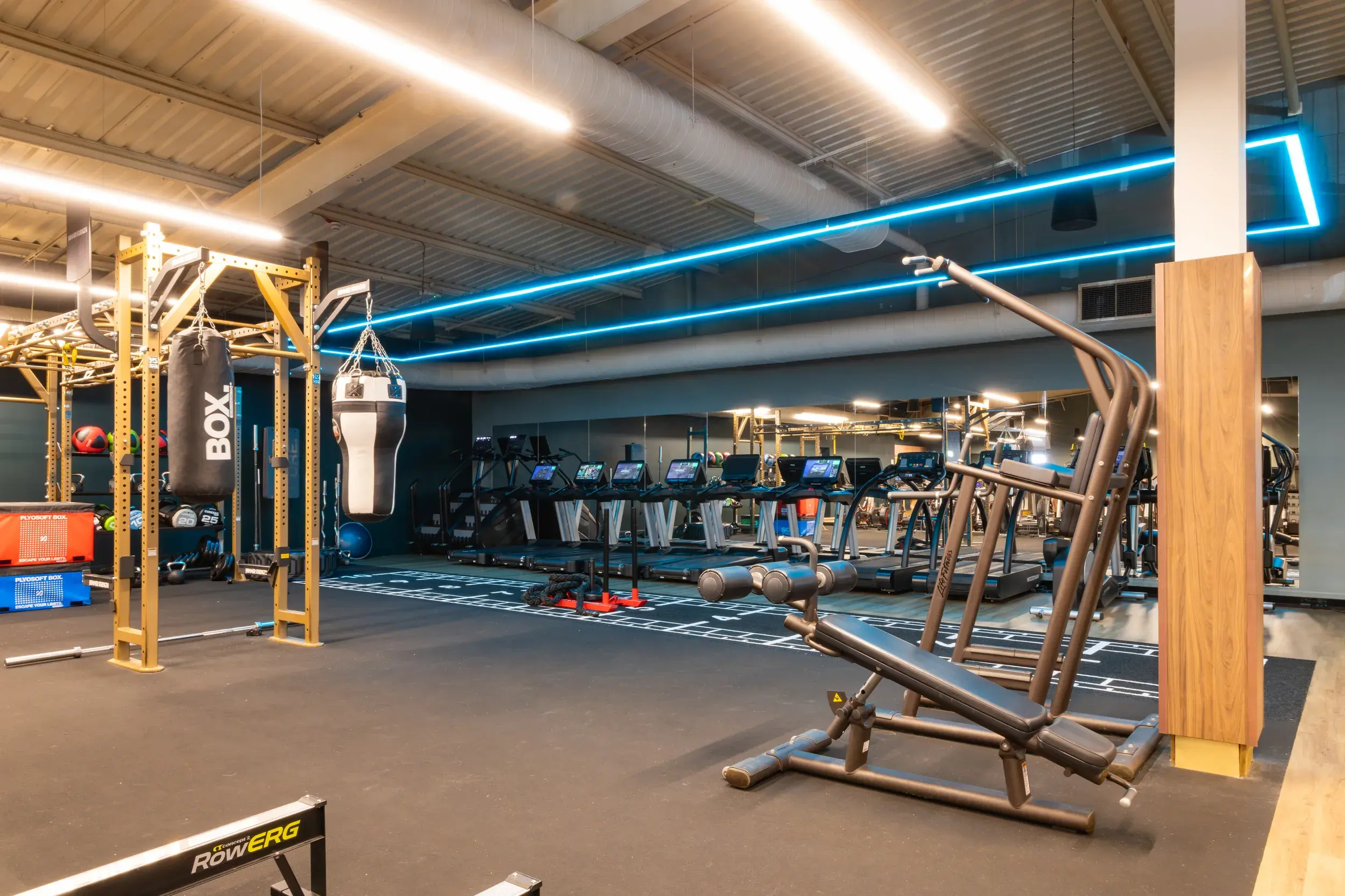 The Intuitive Strength Circuit