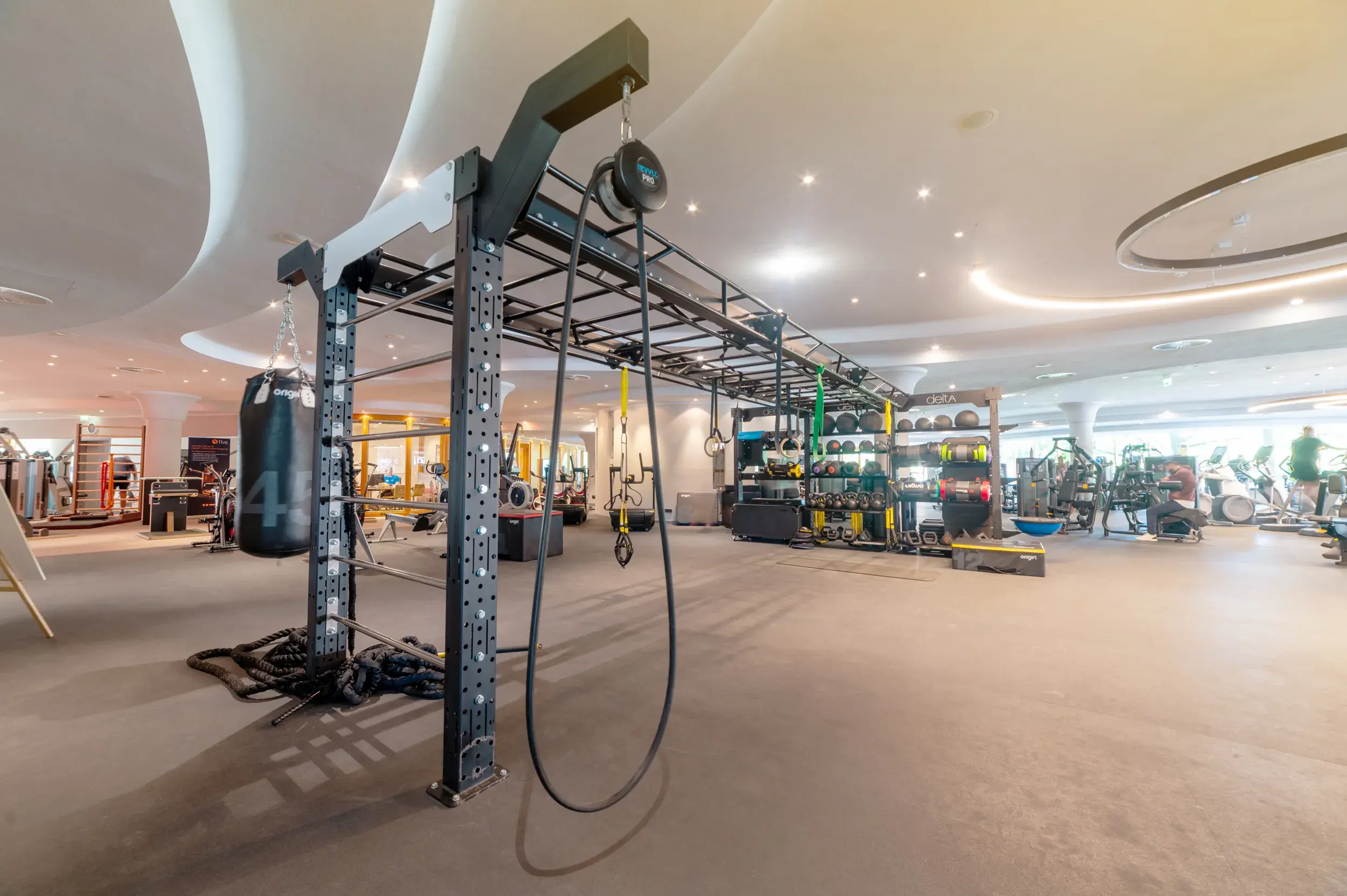 Functional training rig