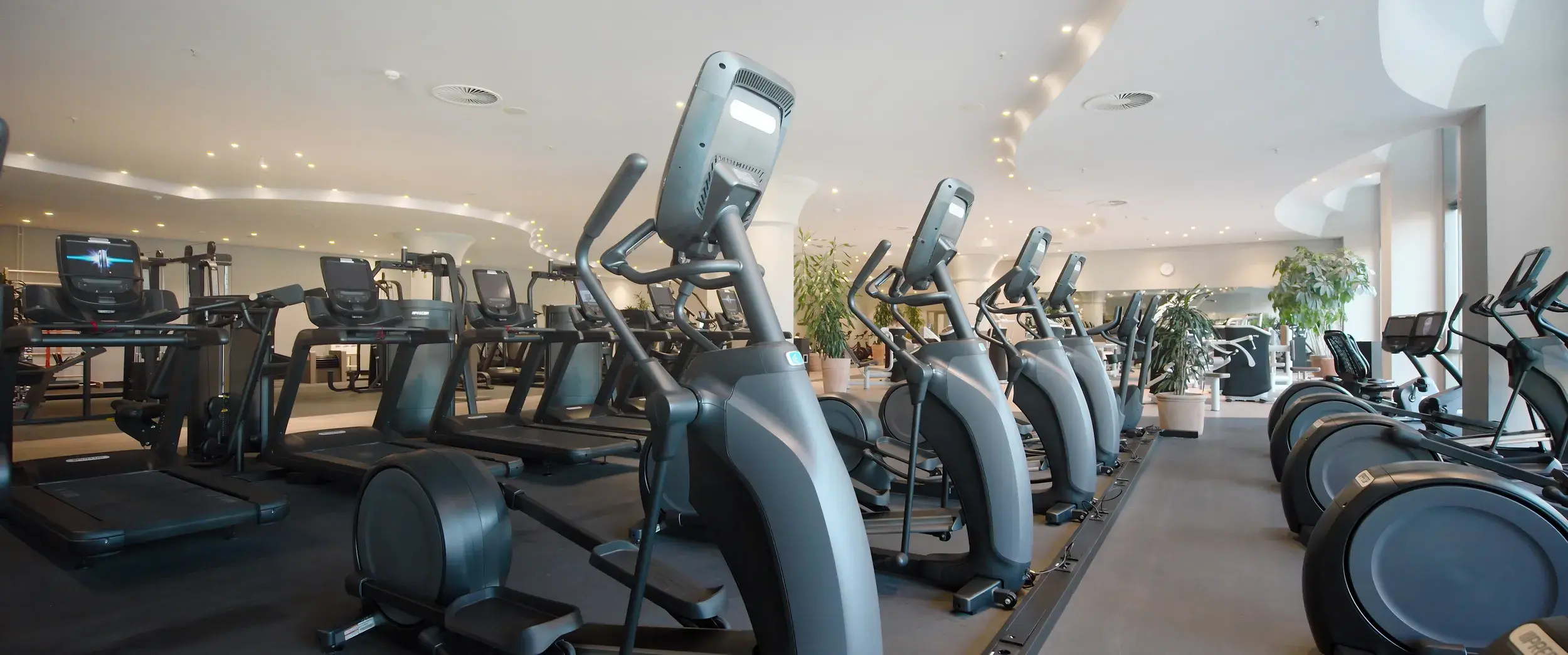 Cardio equipment