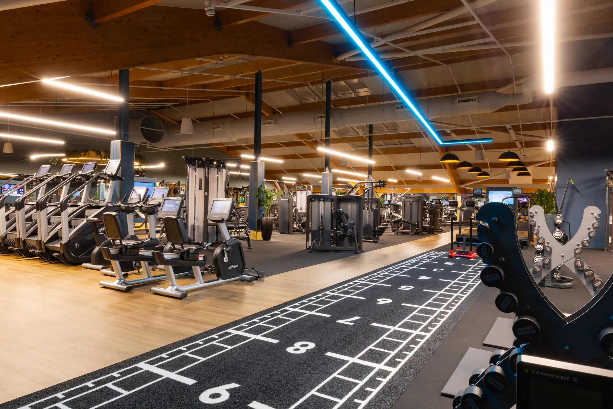 The gym at David Lloyd Oxford