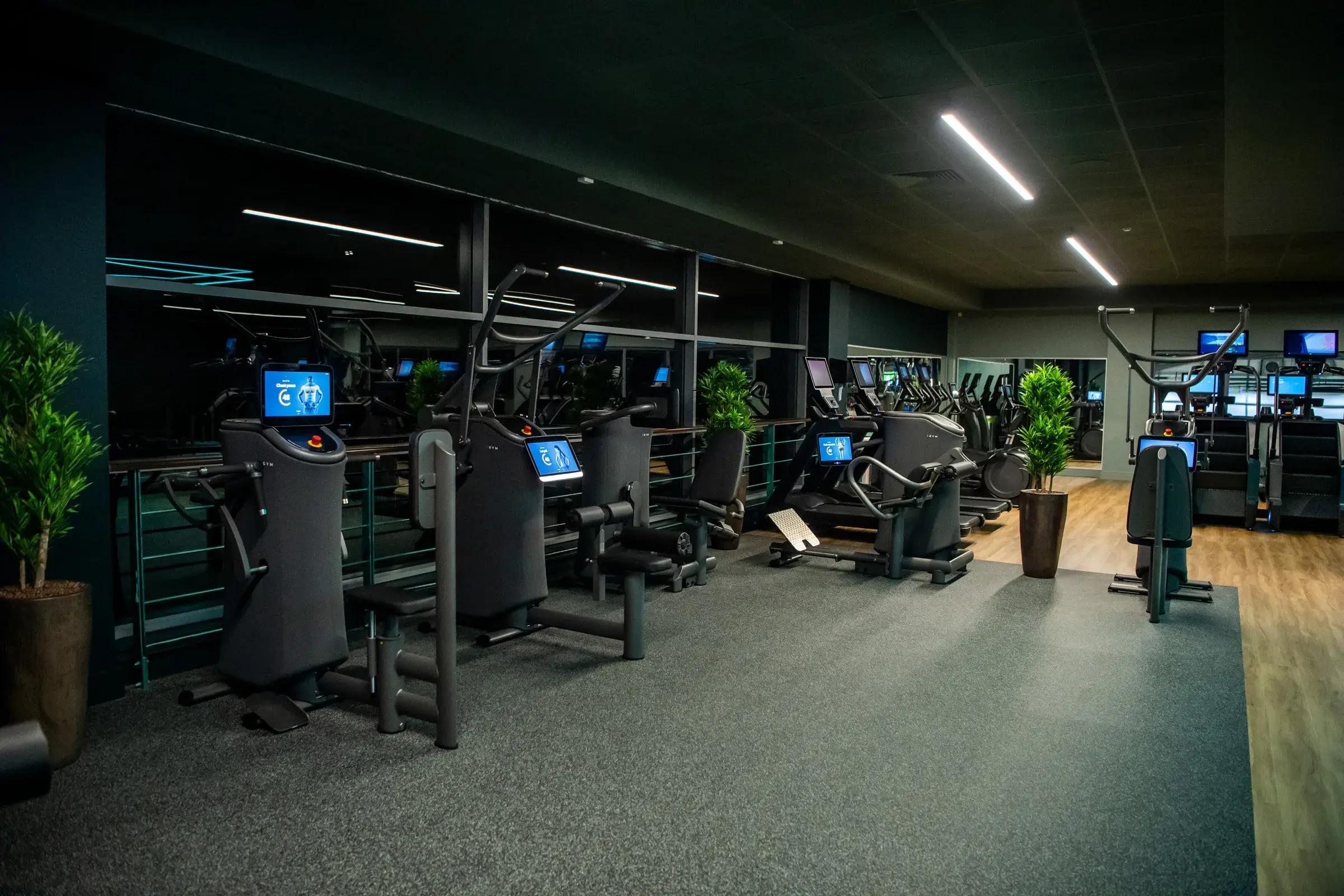 Weights machines in the gym in David Lloyd Basildon