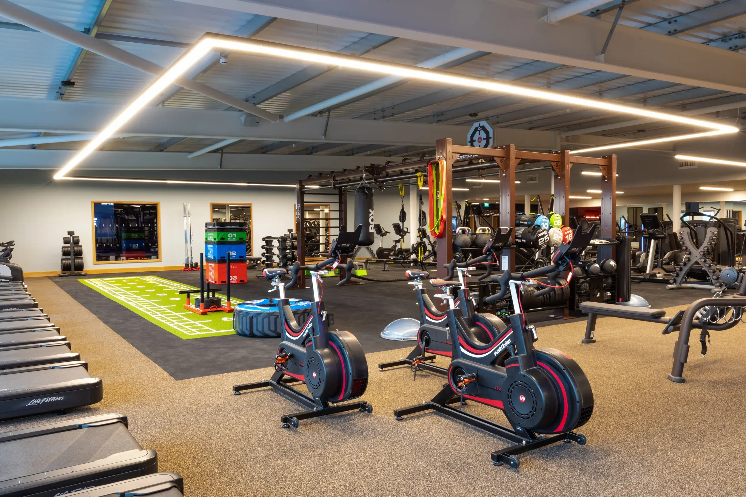 A sled track and equipment in the gym