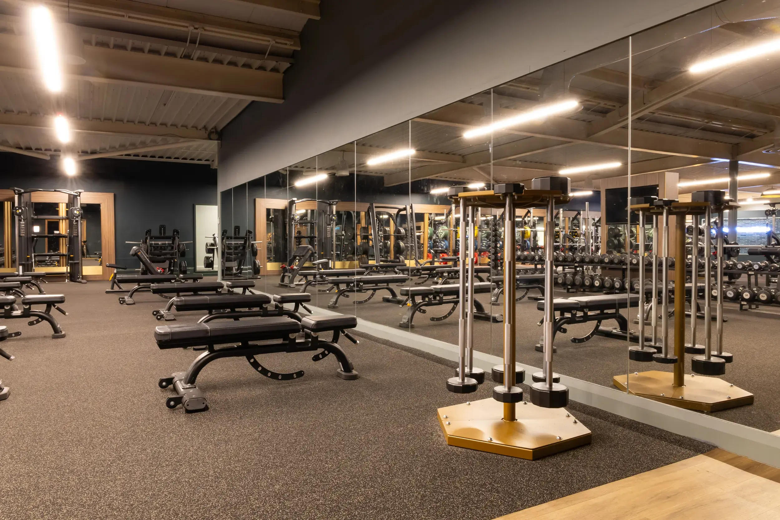 Weights area