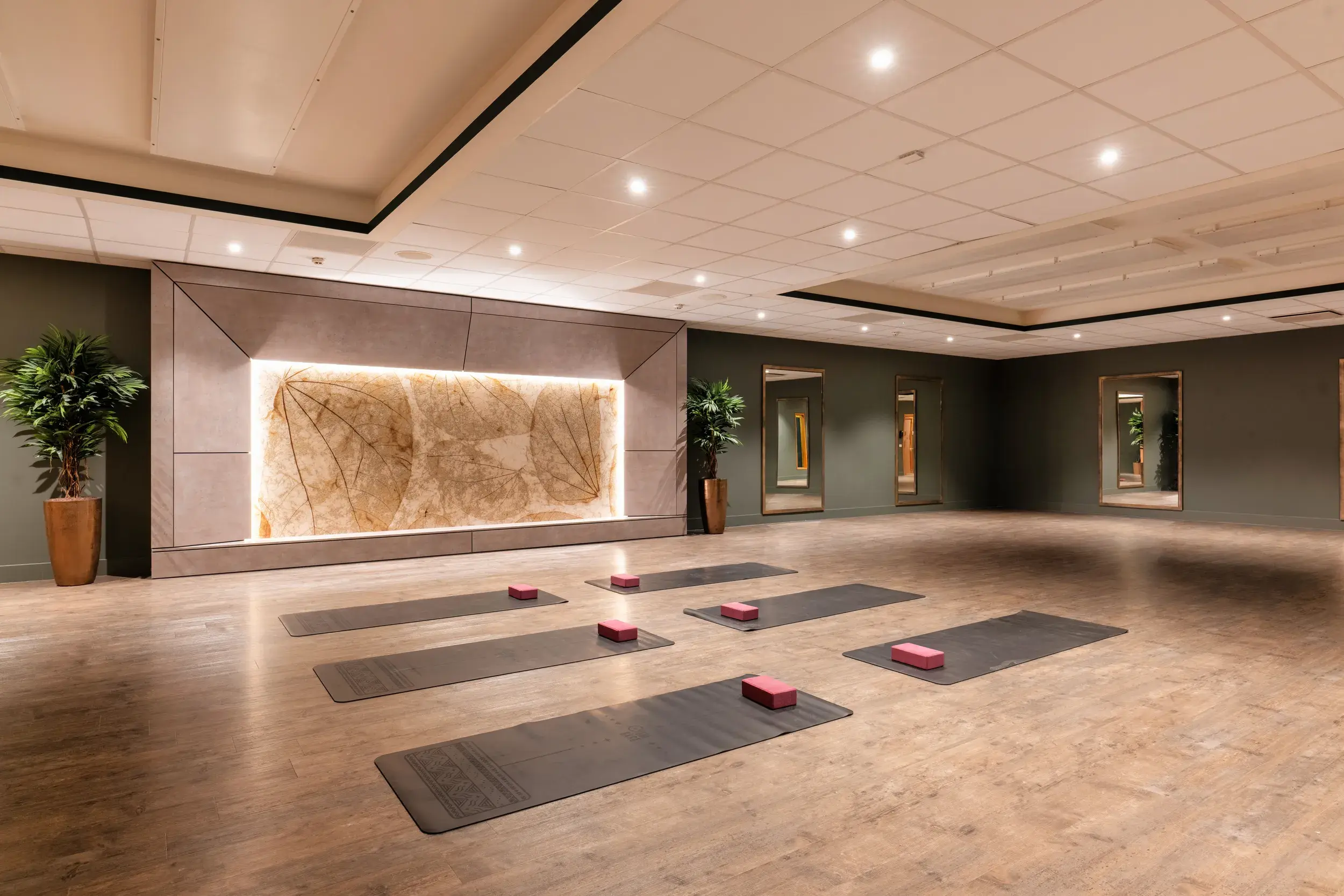 David Lloyd Uccle studio