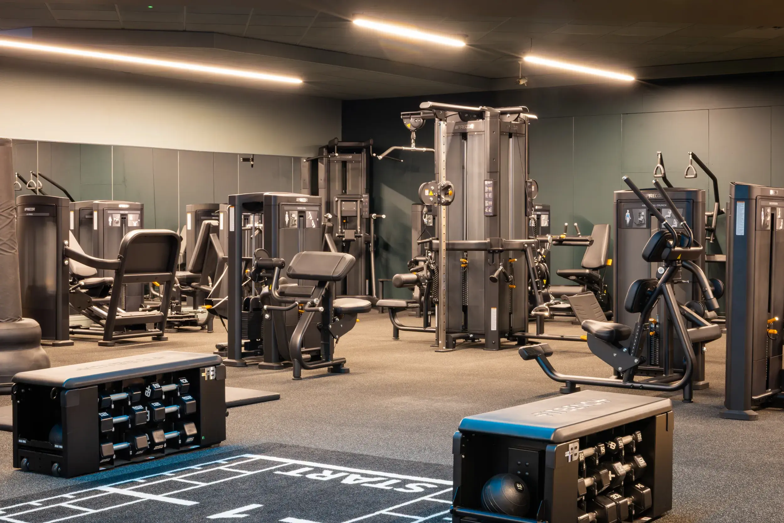Gym floor with a variety of equipment