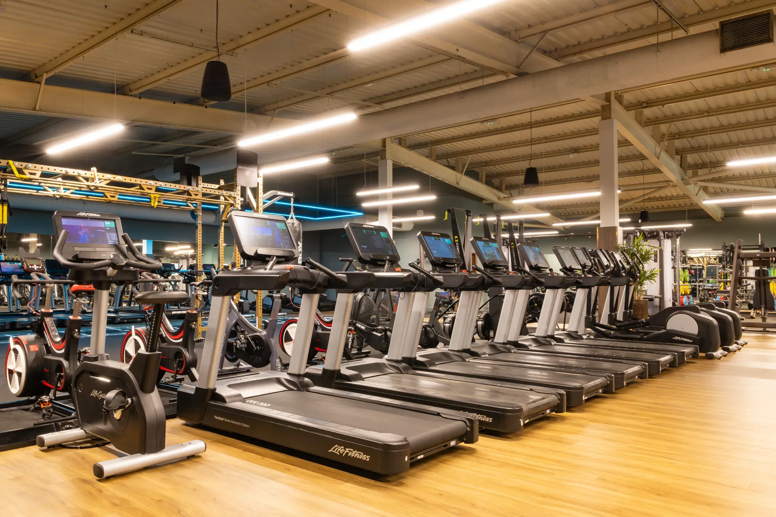 The gym at David Lloyd Lichfield