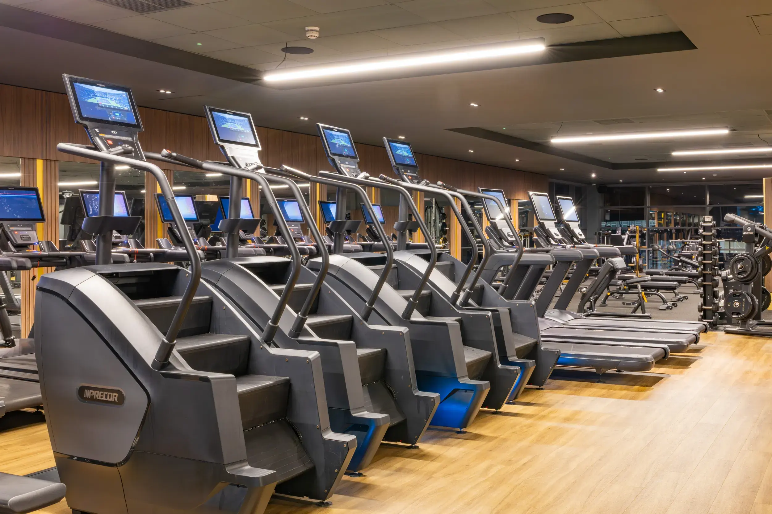 Stairmasters on the gym floor