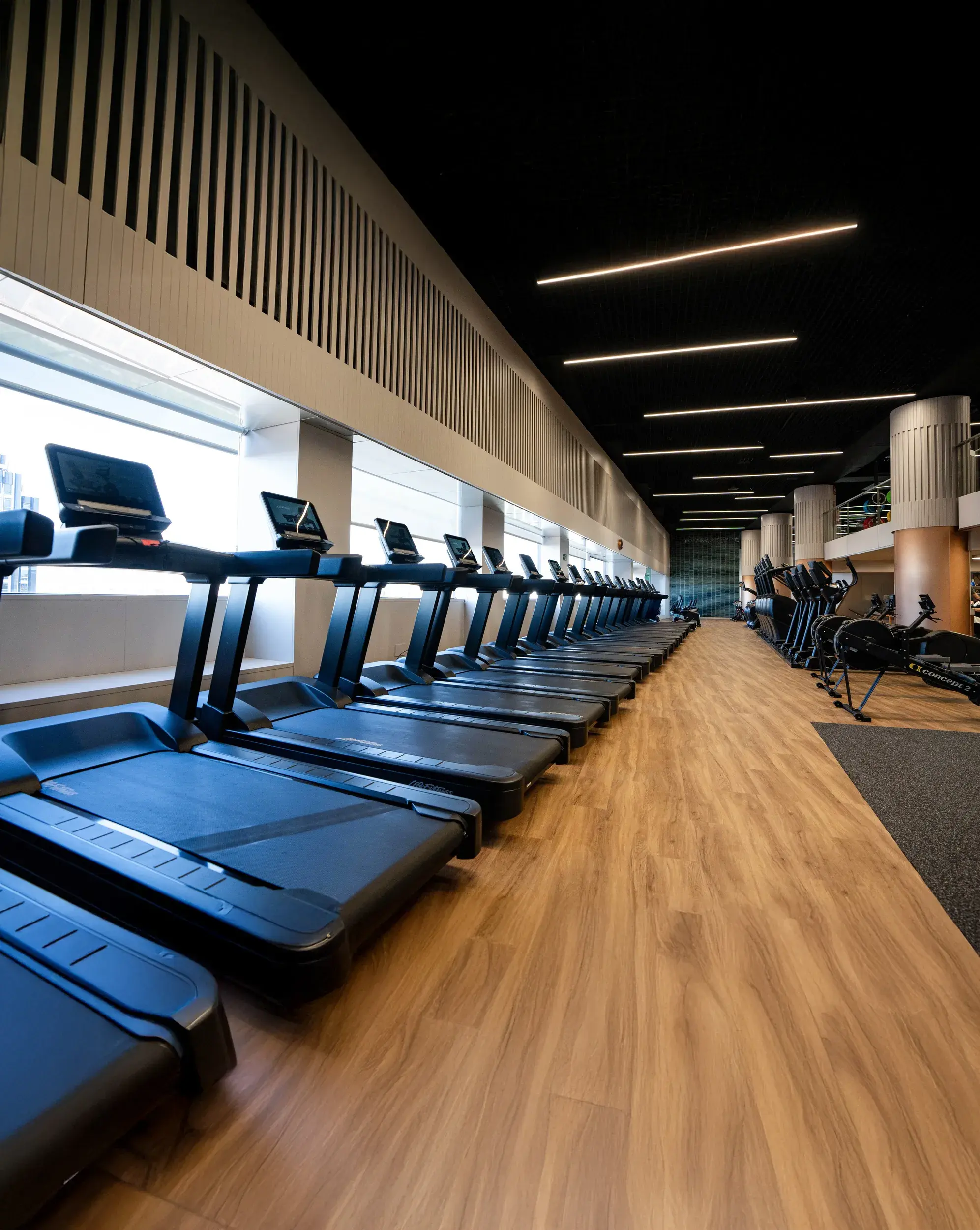 TheTailoredPage Serrano