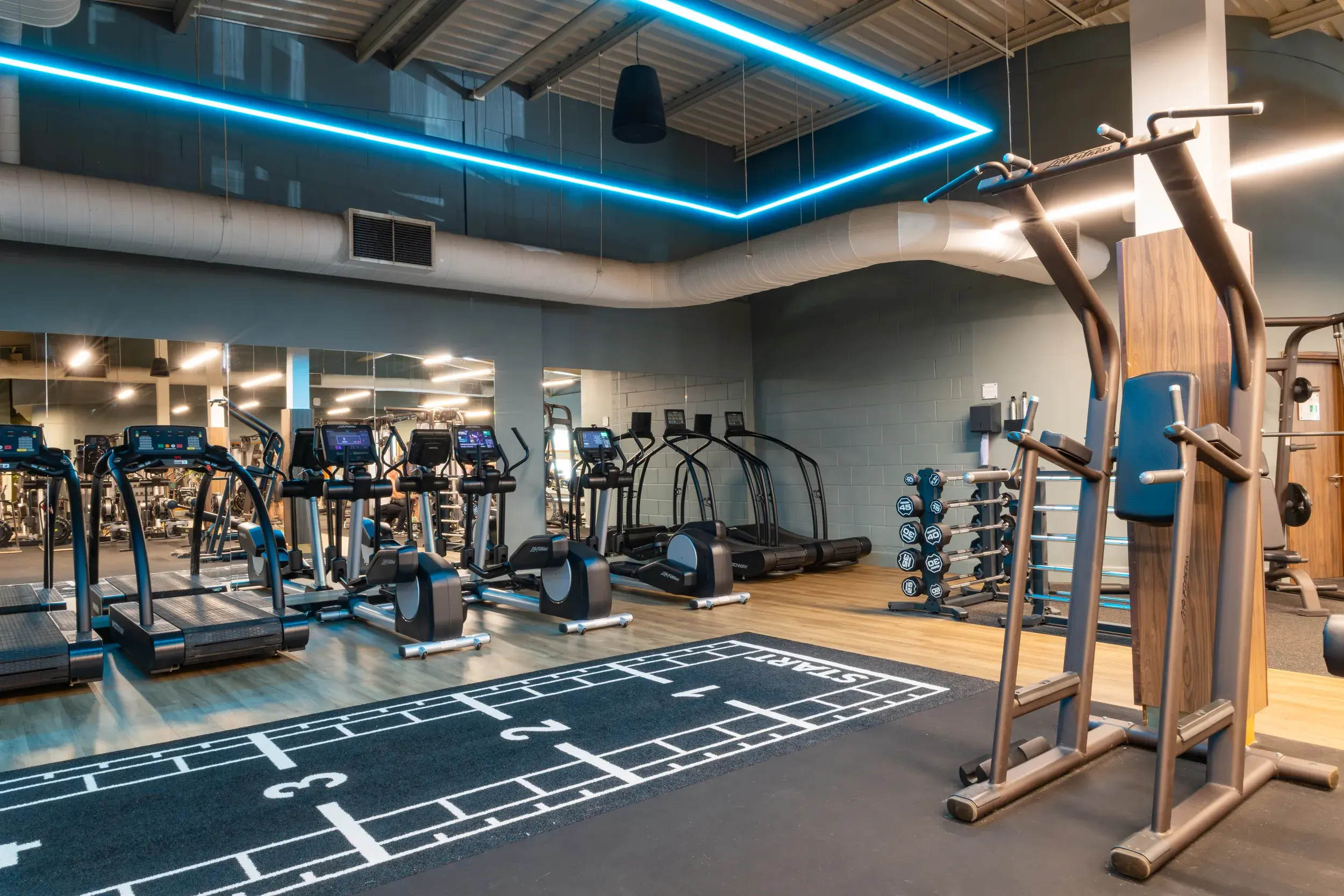 Gym at David Lloyd Lichfield