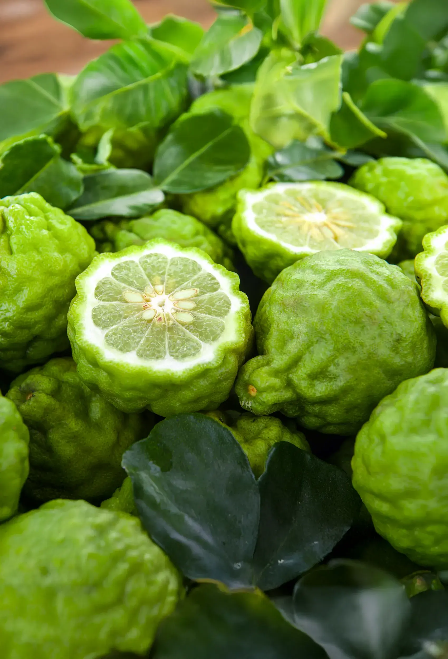 Bergamot