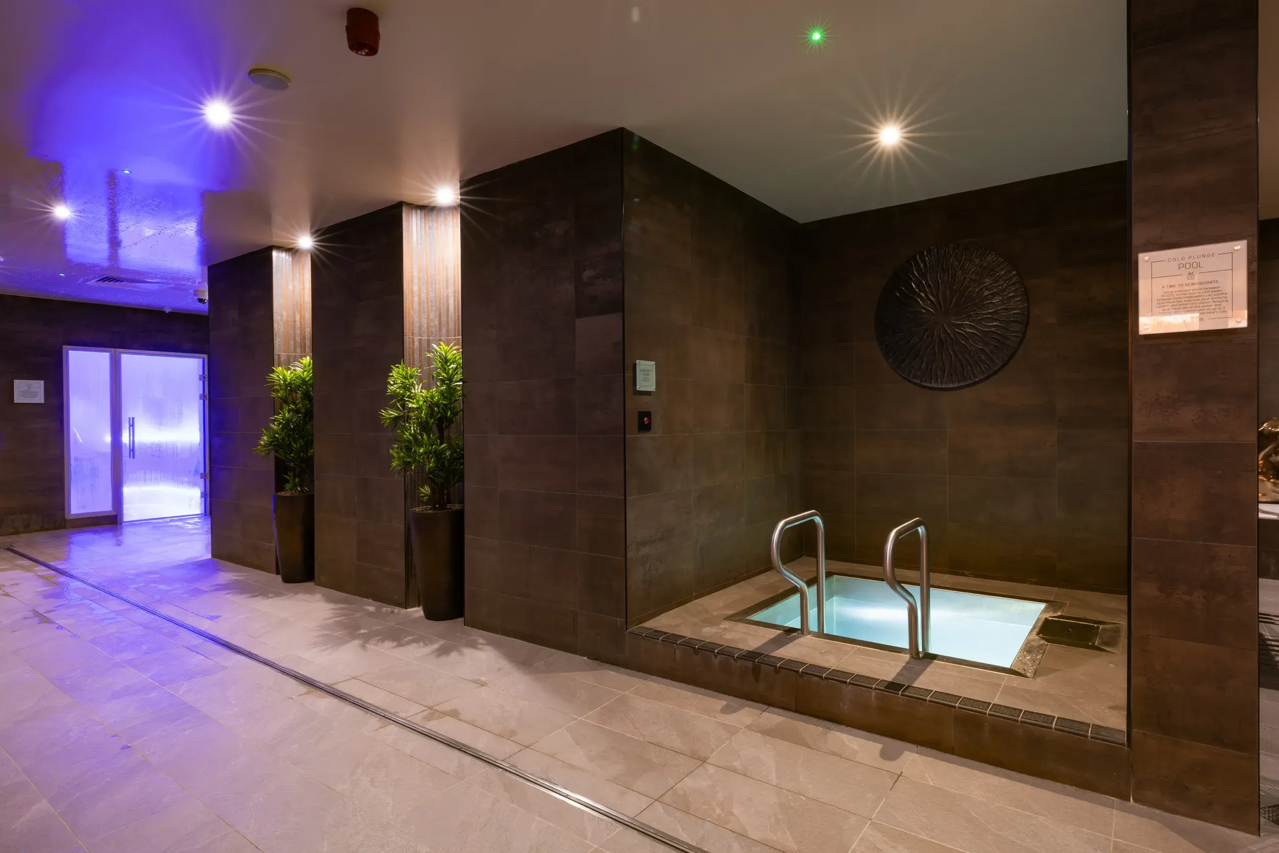 Outdoor spa garden with hydropool