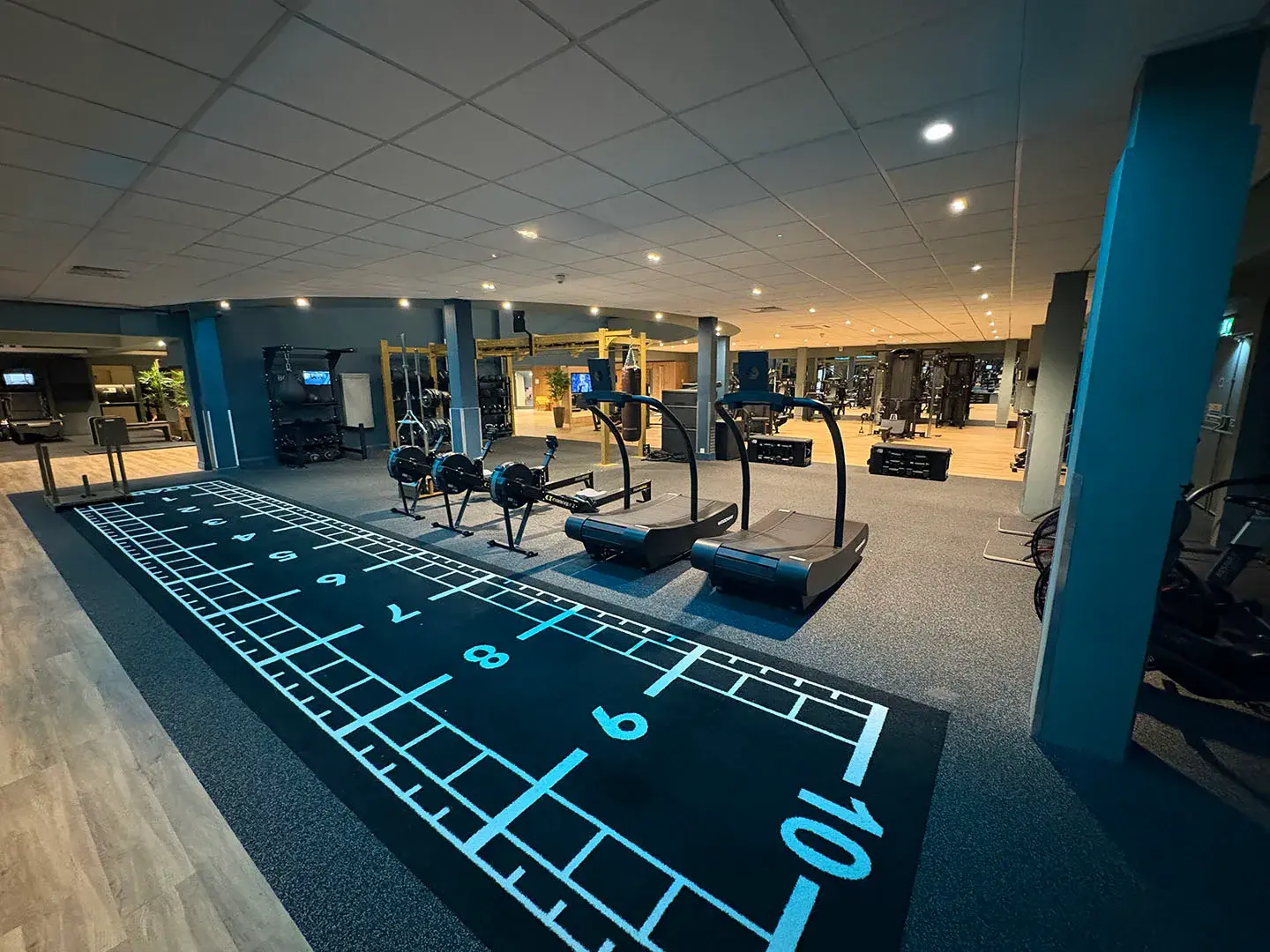 Artist's impression of sled track, treadmills and rowers among other equipment in the gym.