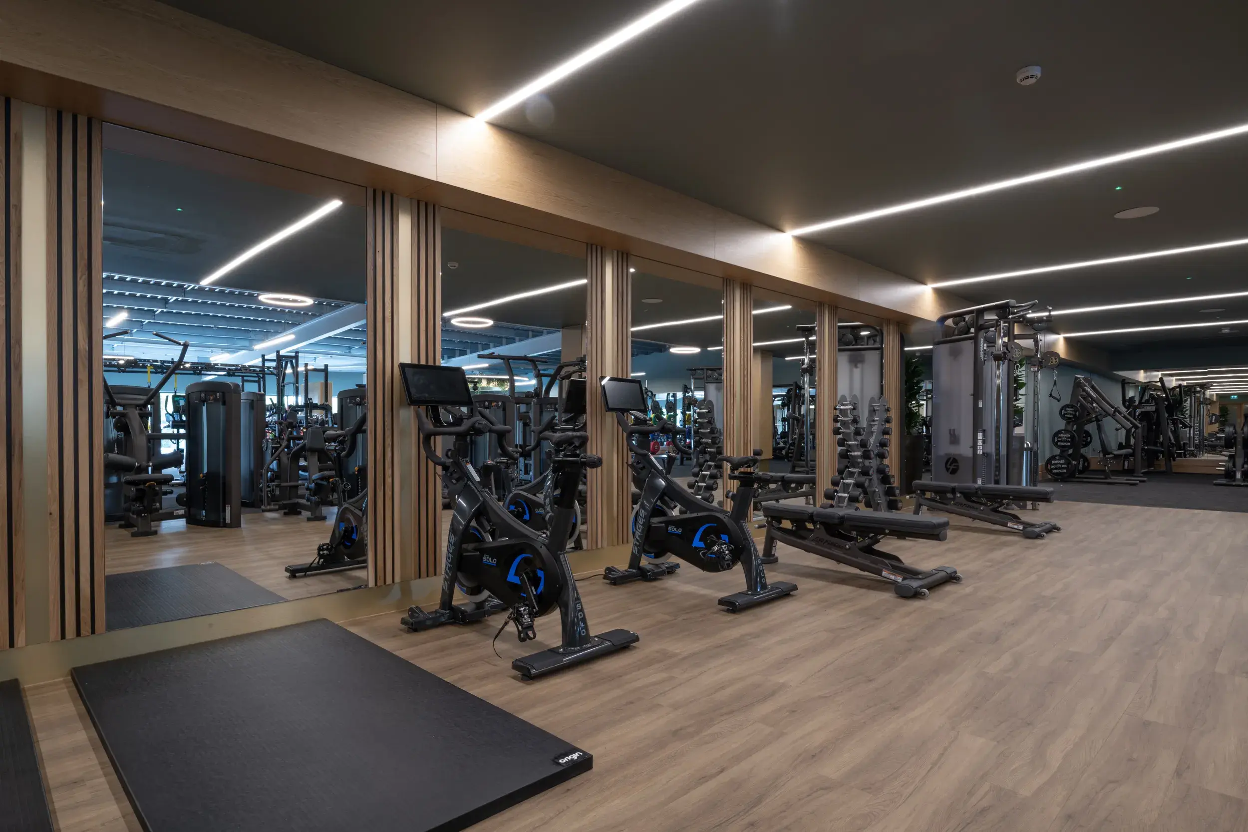 People working out in the gym