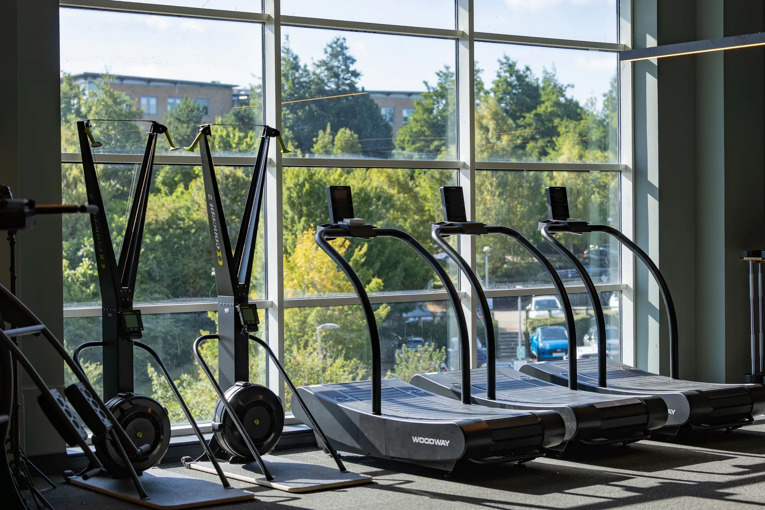 Treadmills and Ski-ergs in front of a light airy window