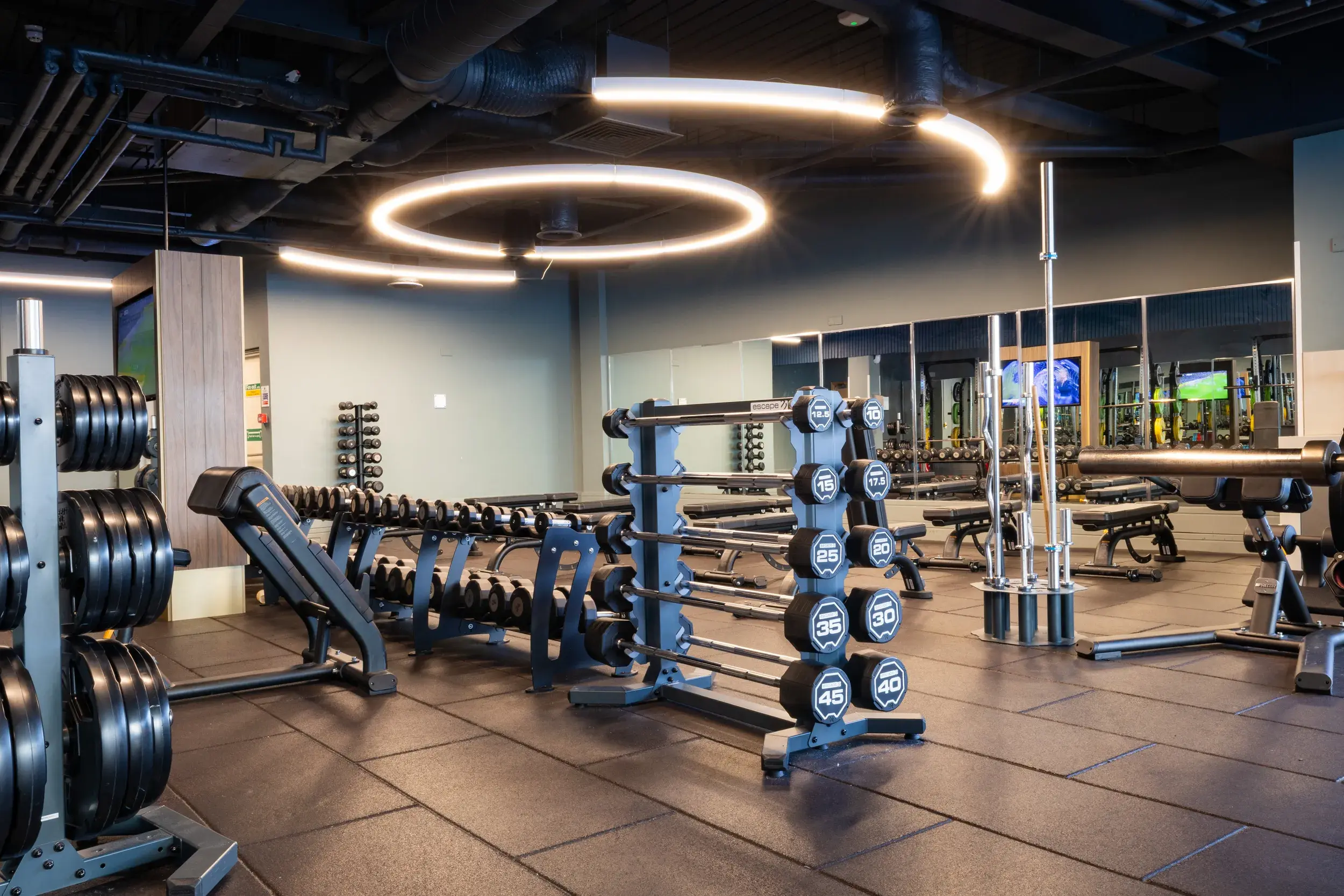 Free weights gym equipment