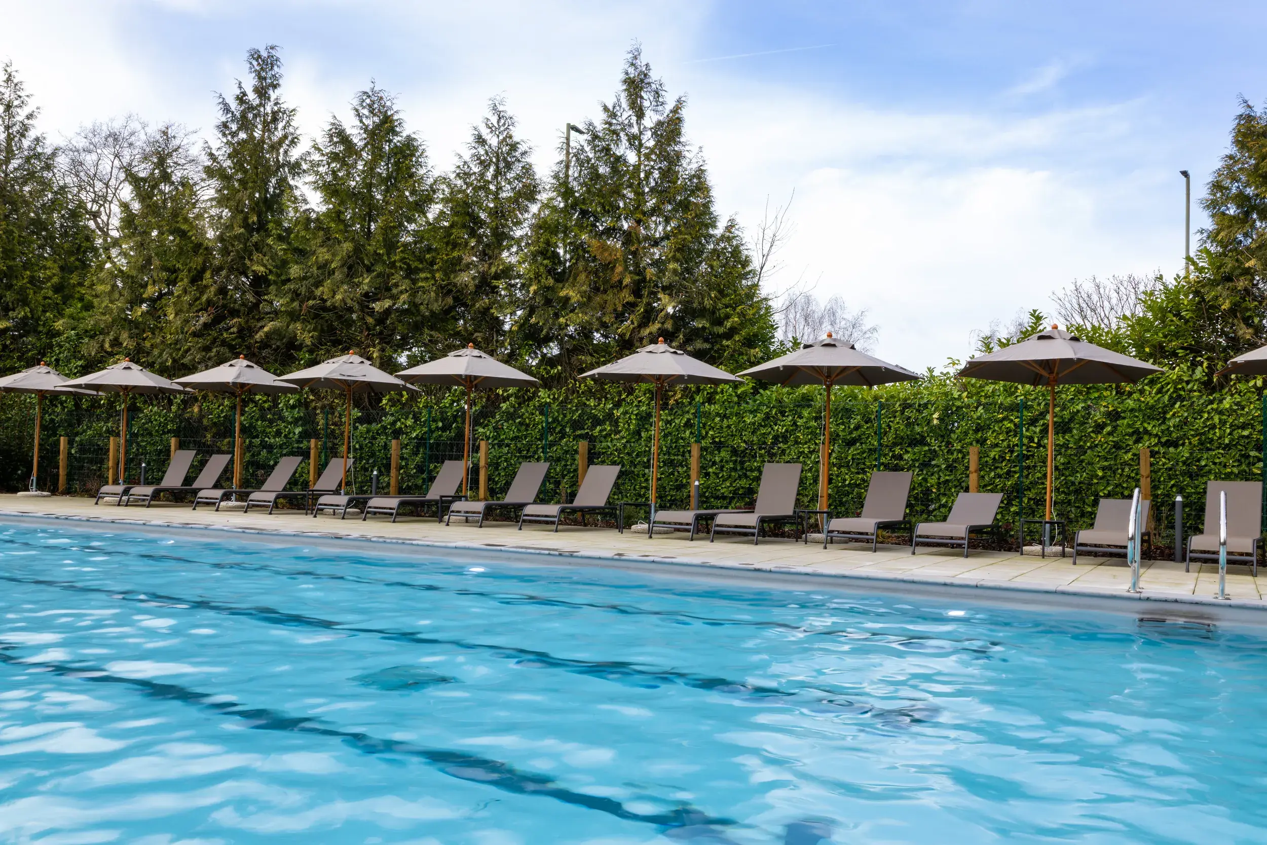 Outdoor swimming pool with sun loungers in the background