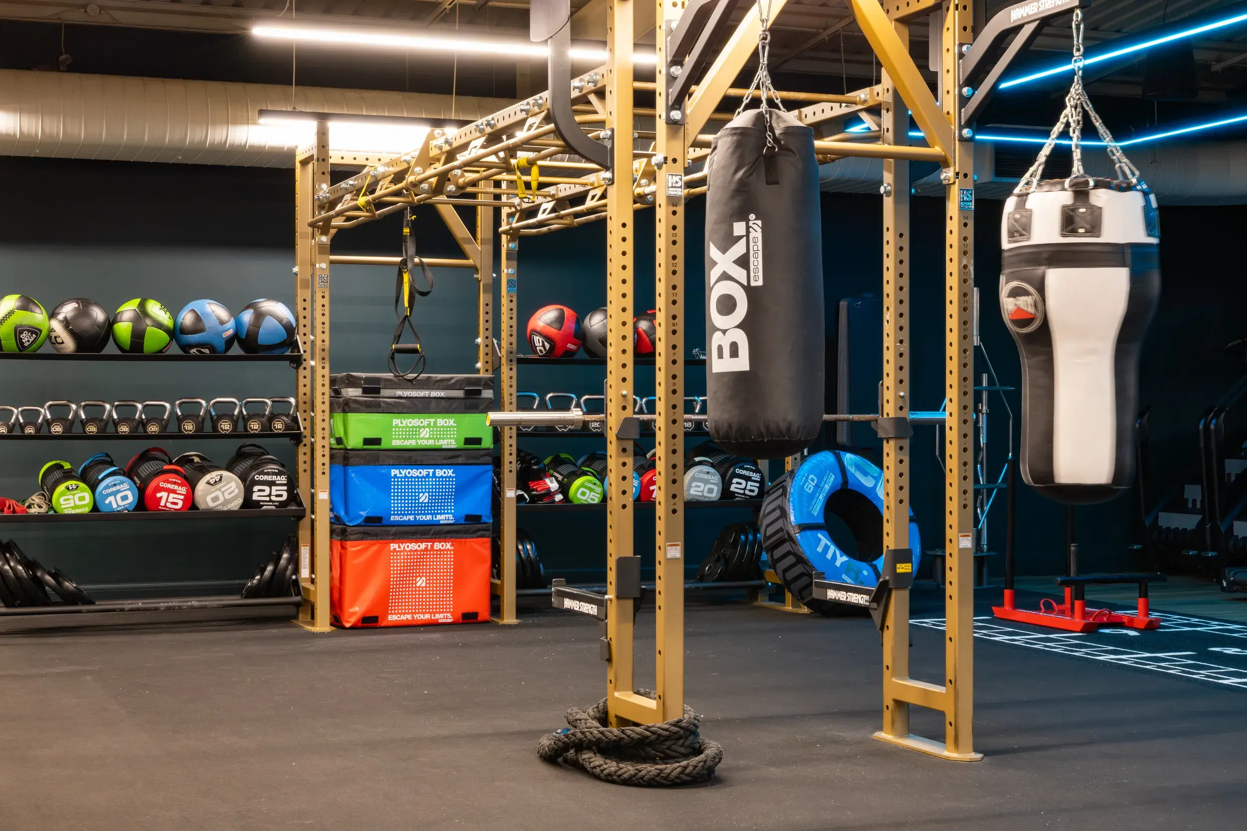 Functional training rig