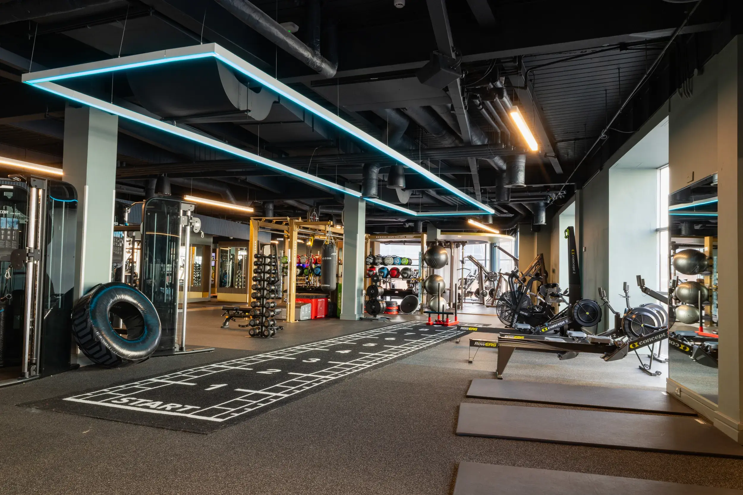 Gym at David Lloyd Kingston