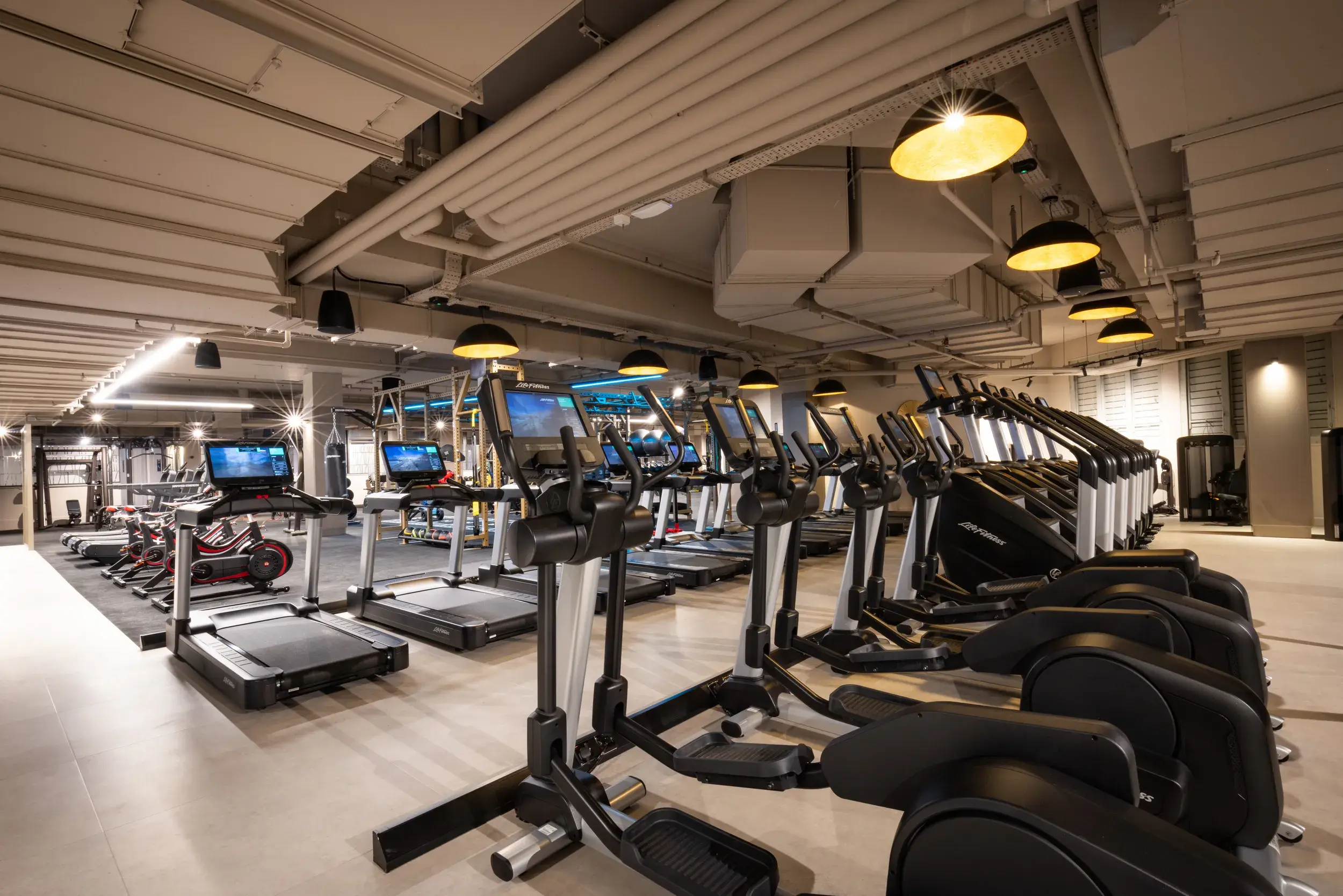 The gym at David Lloyd Fulham