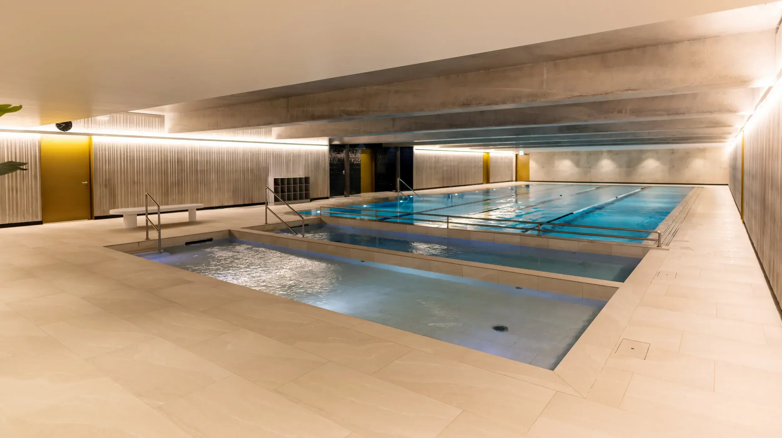 swim