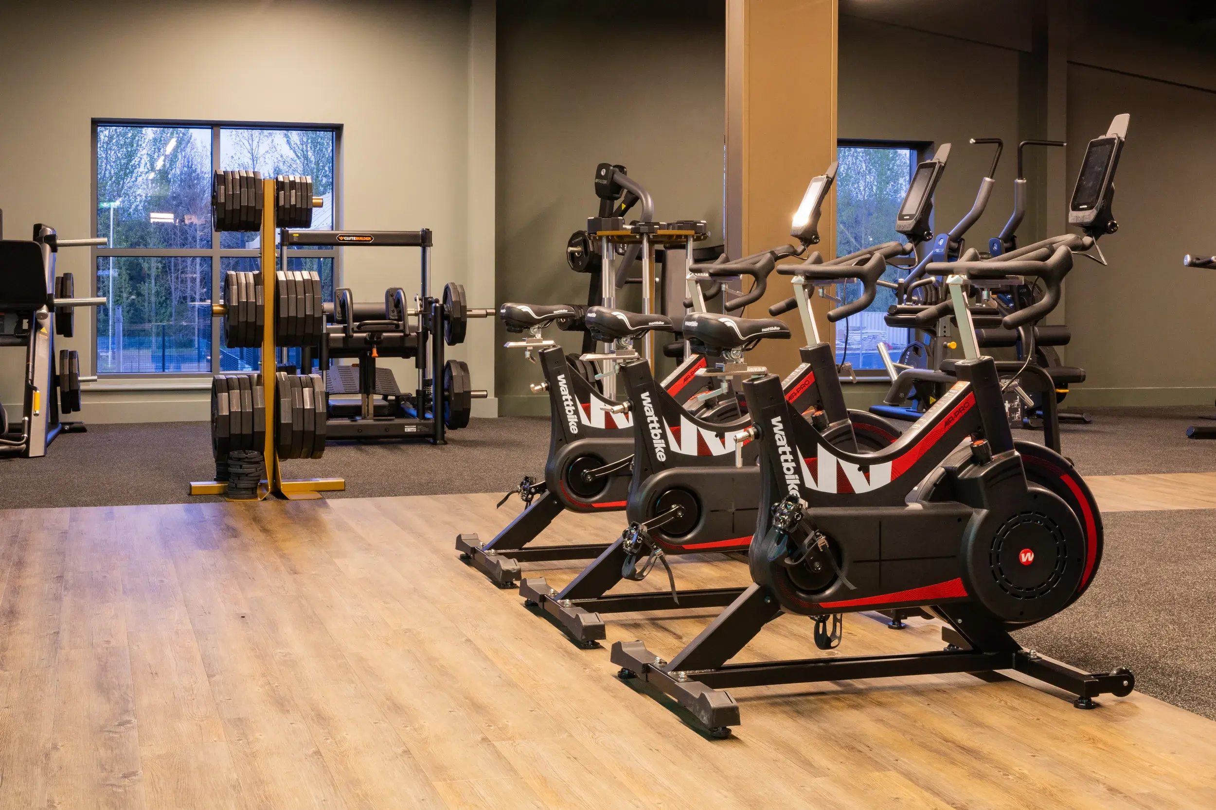 Cycling equipment in the gym.