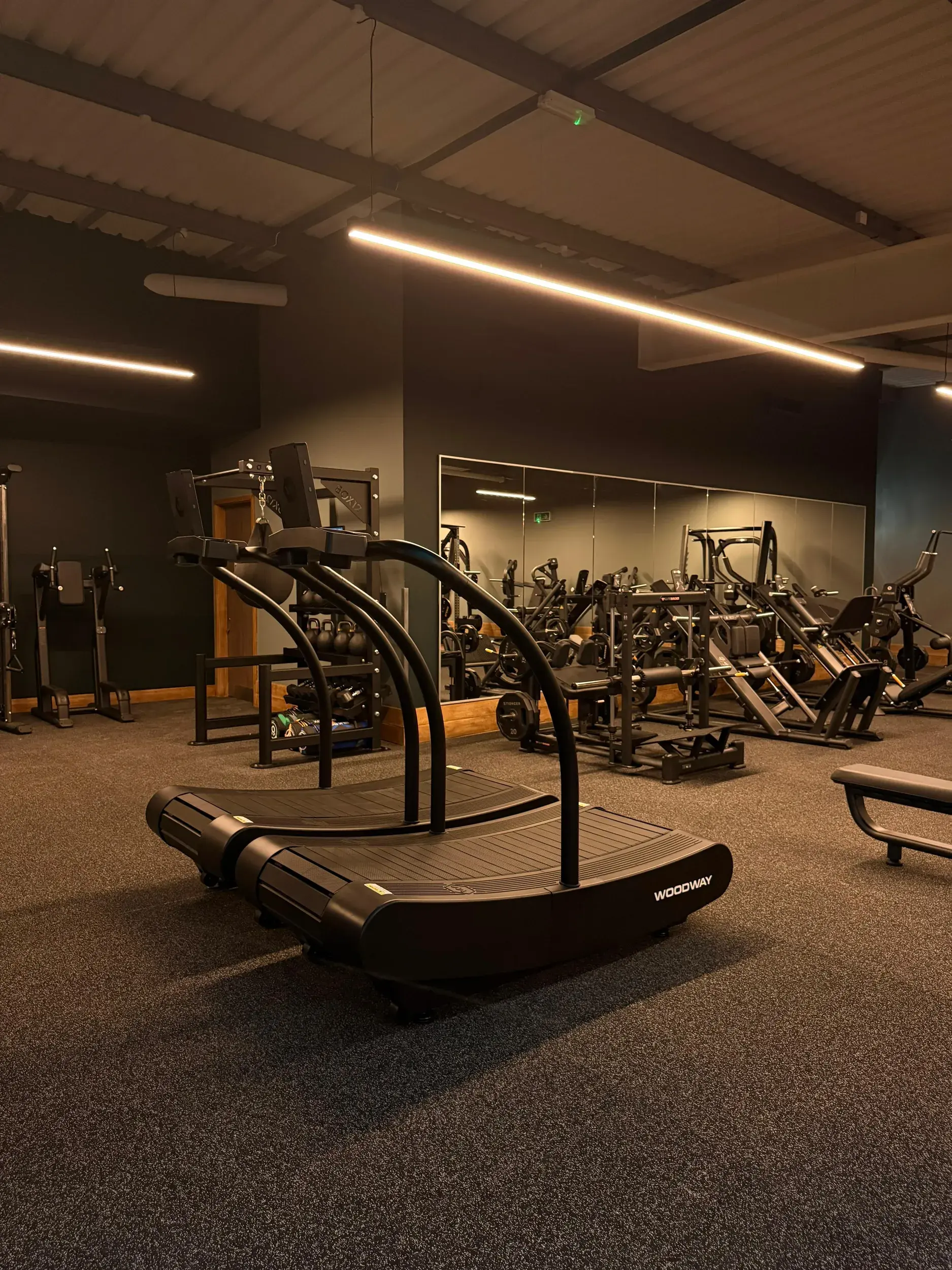 A spread of the state of the art gym equipment available