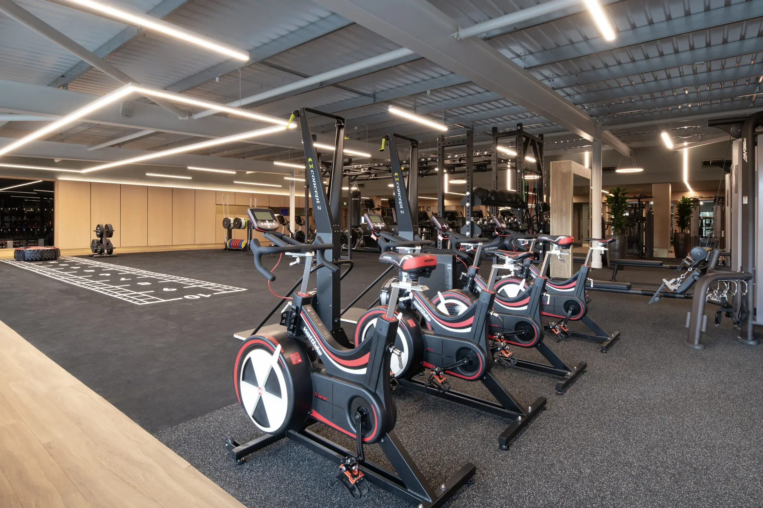 A weighted sled and functional training gym equipment