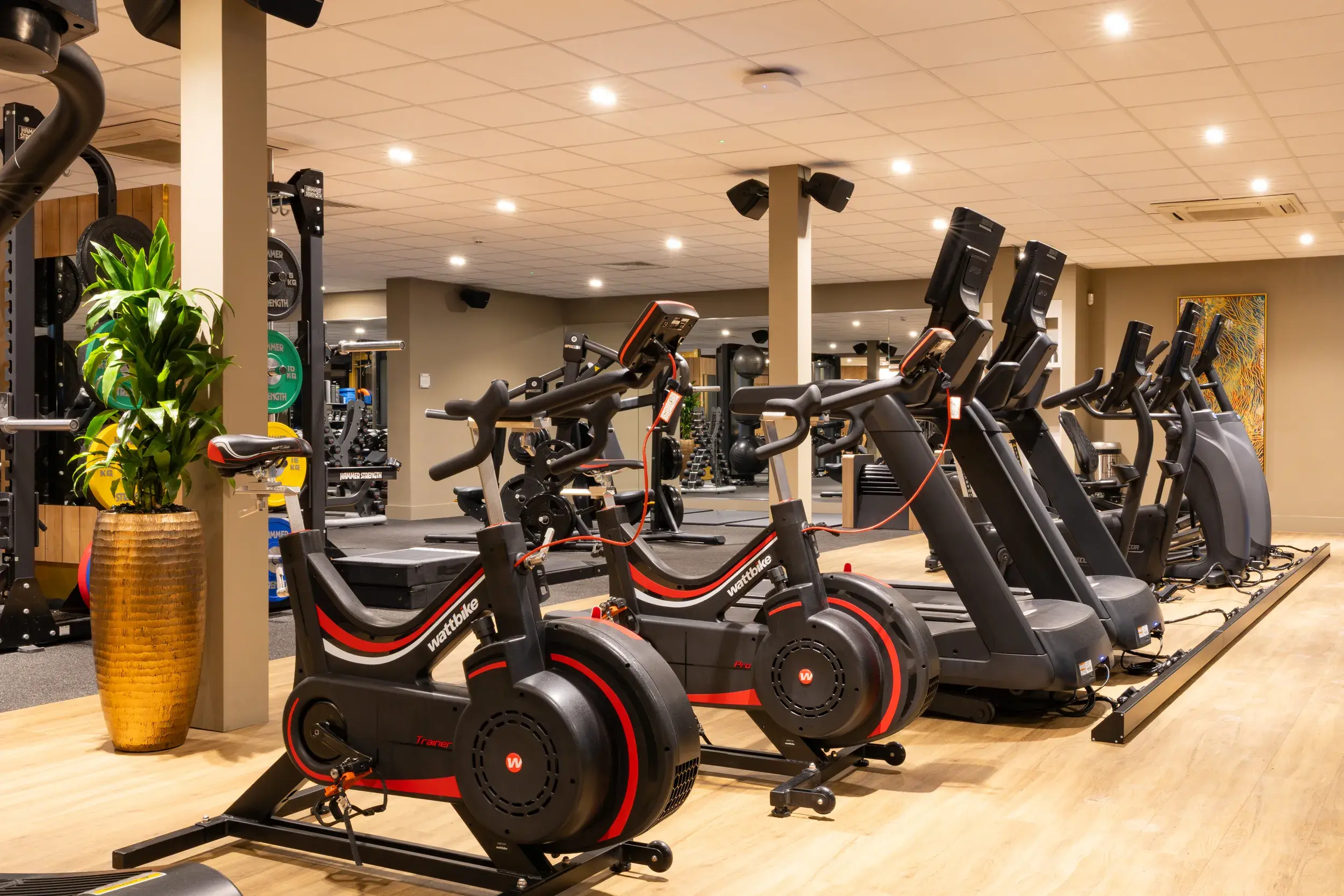 Workout equipment in the warmly lit gym