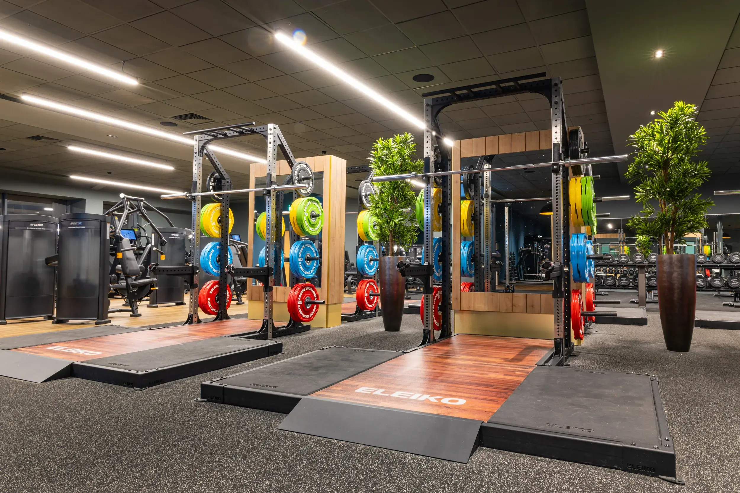 Equipment in the gym