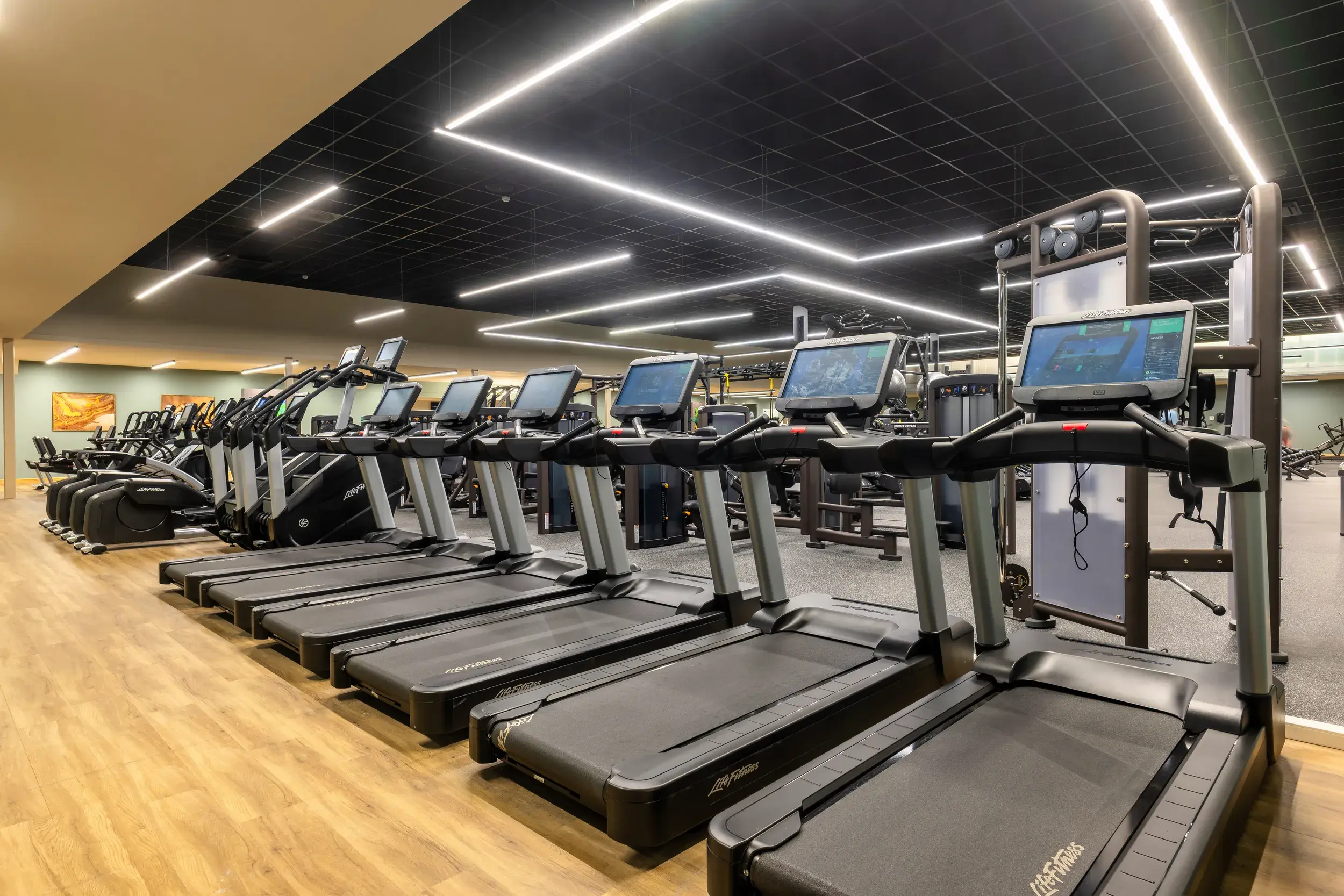 Gym at David Lloyd Clubs