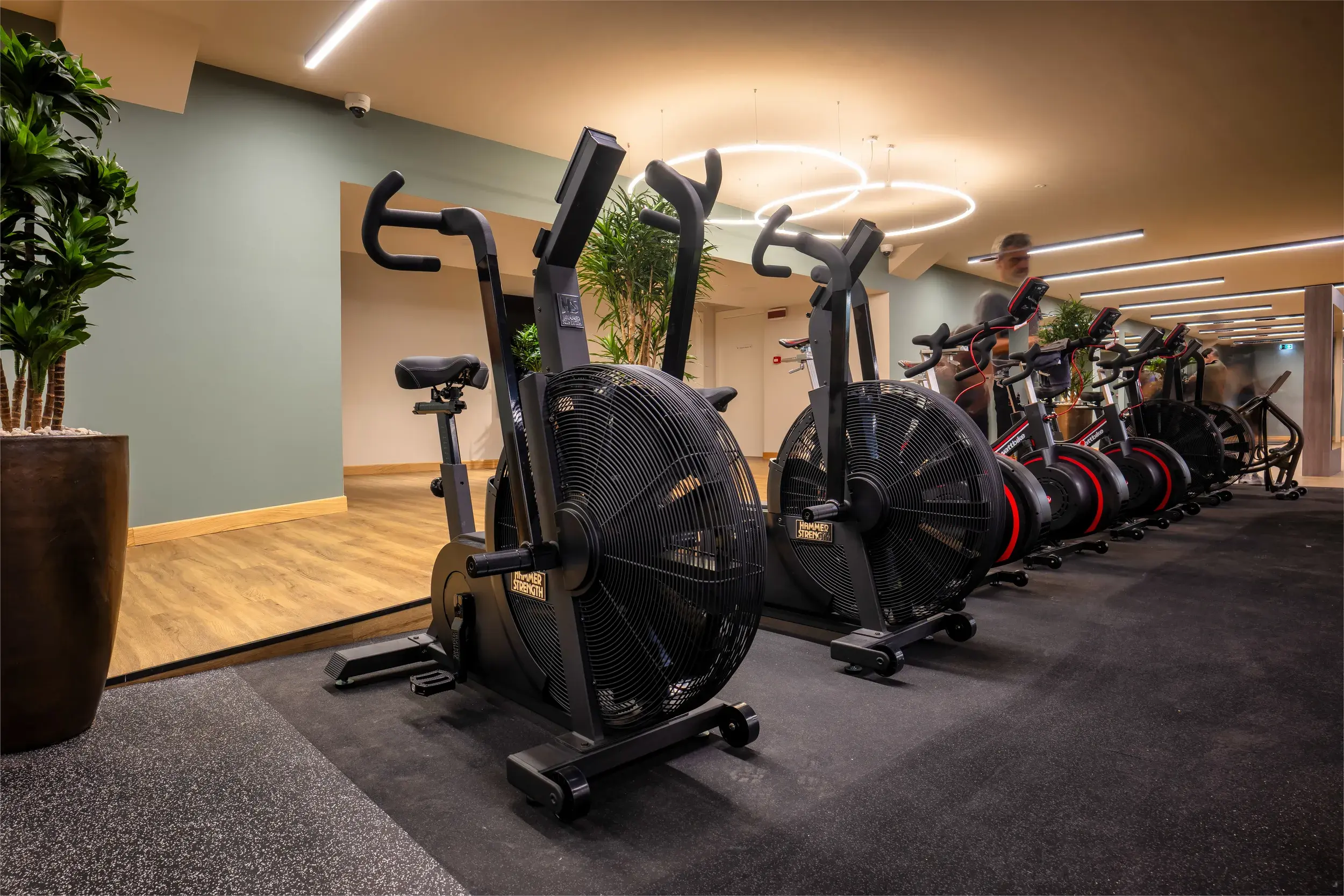 Exercise bikes and the gym floor at David Lloyd Modena