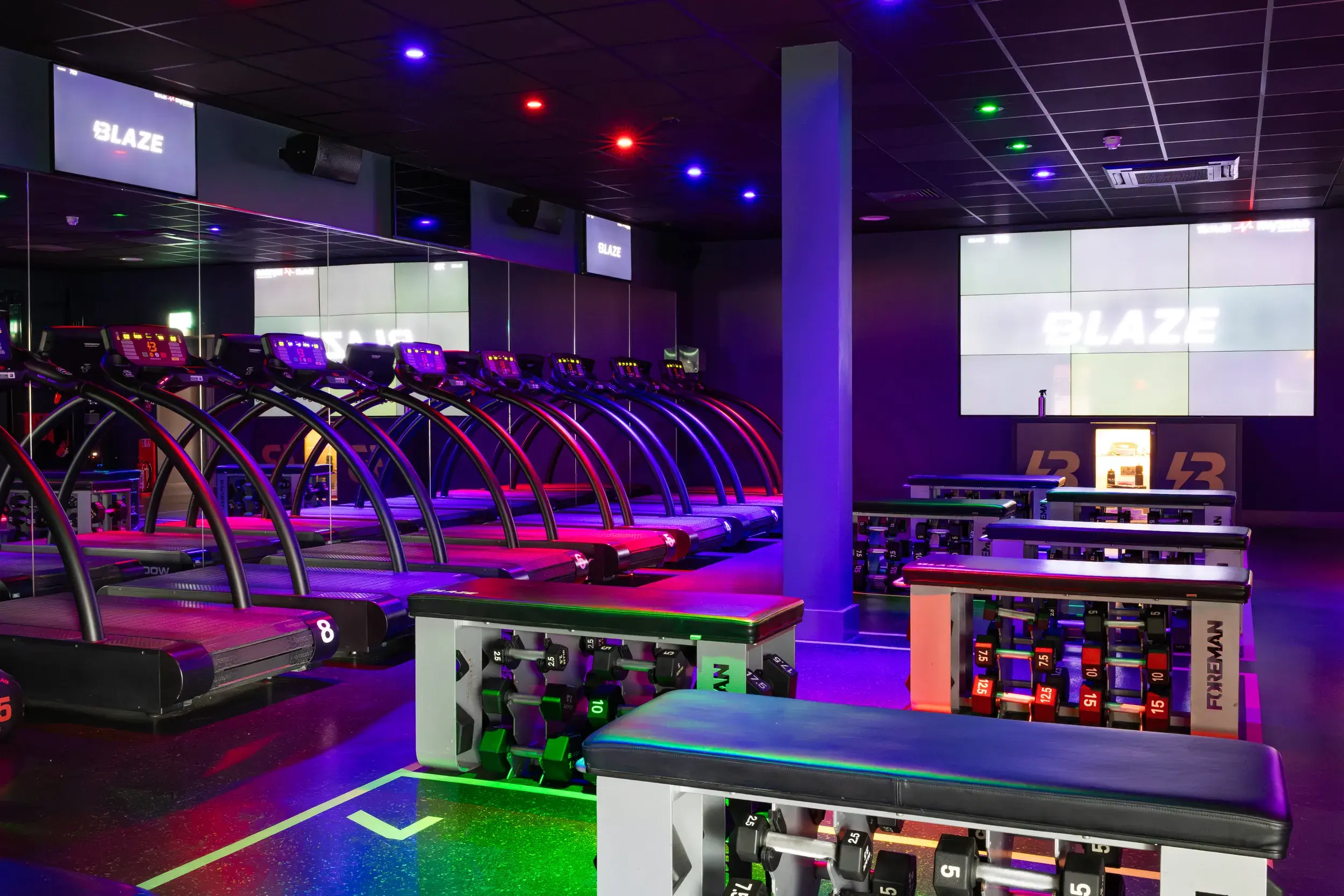 A Blaze studio