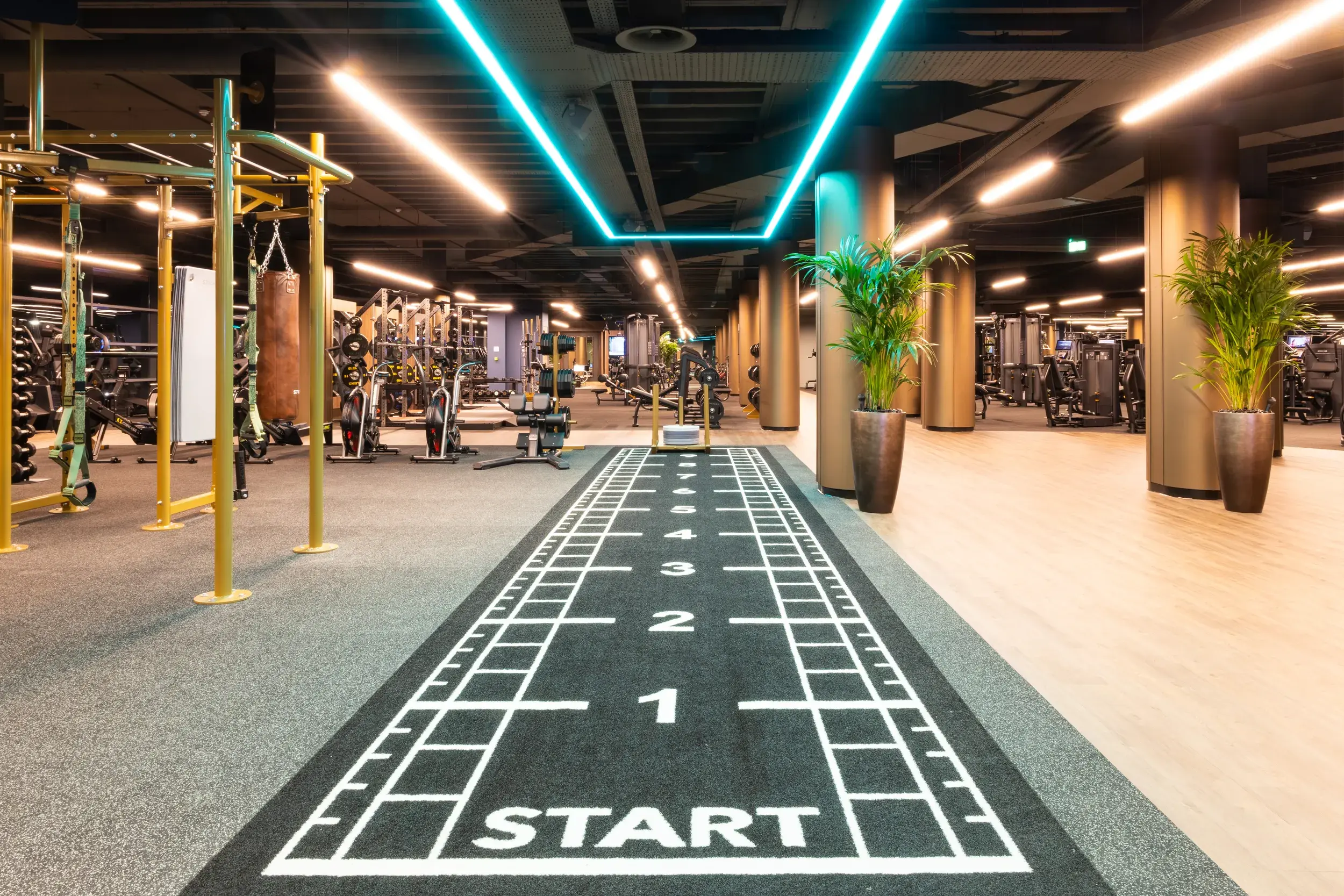 The gym floor