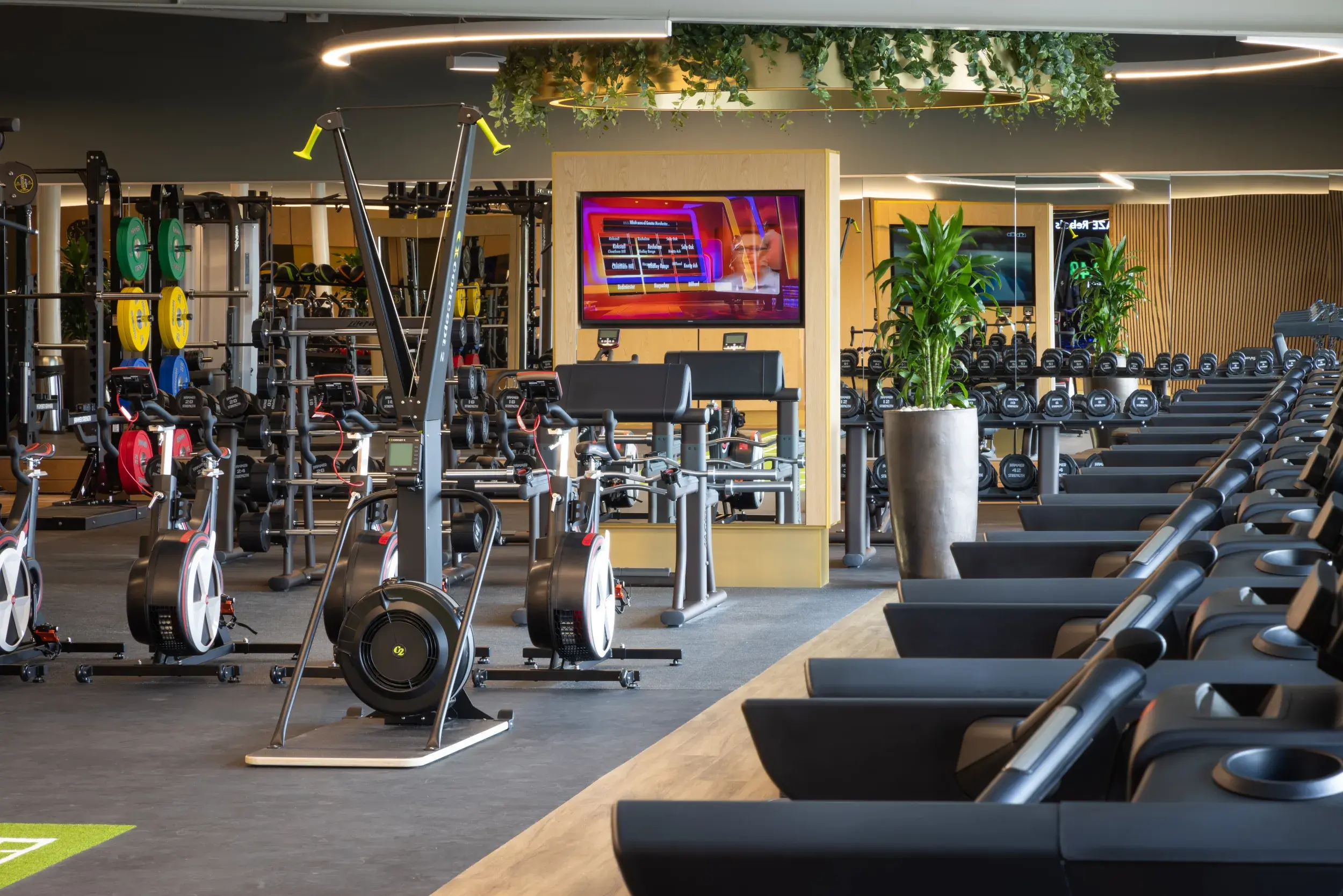 Gym equipment
