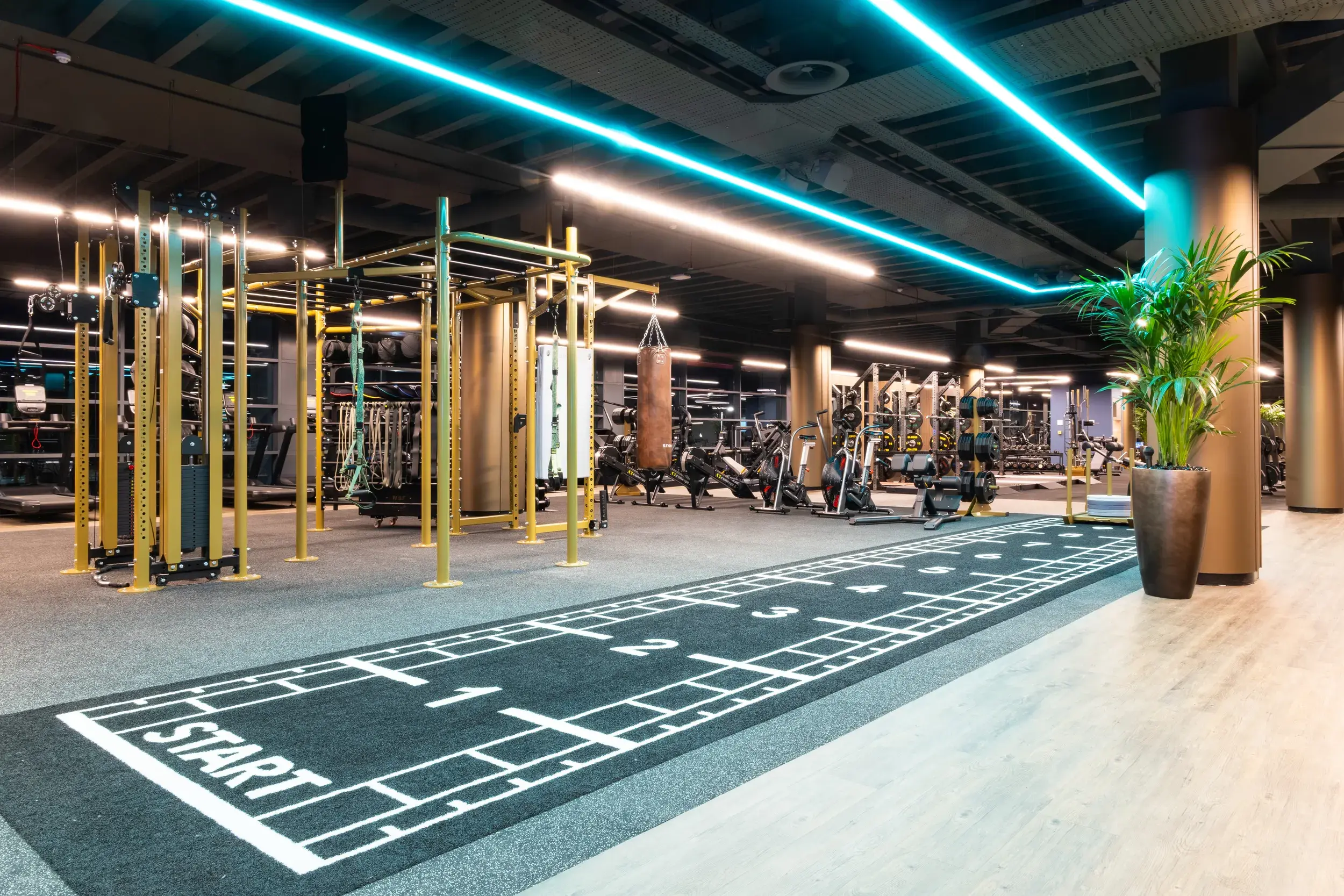 A weighted sled and functional training gym equipment