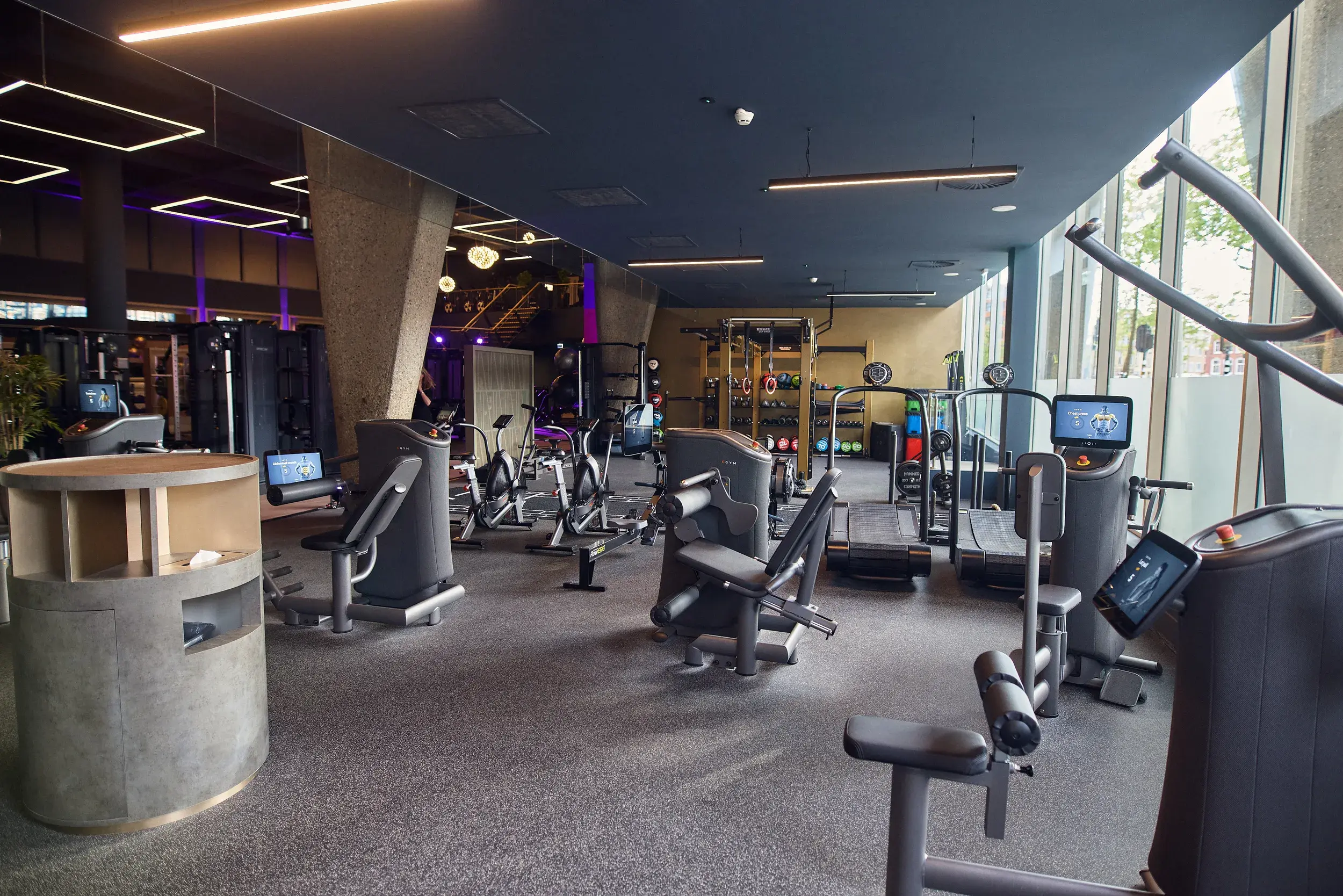 People working out in the gym