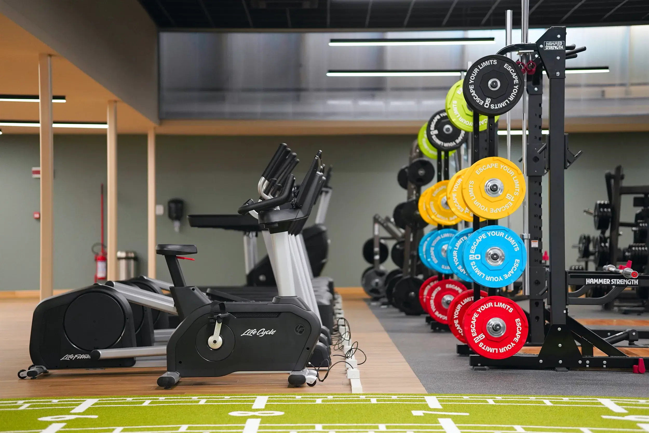Gym at David Lloyd Clubs
