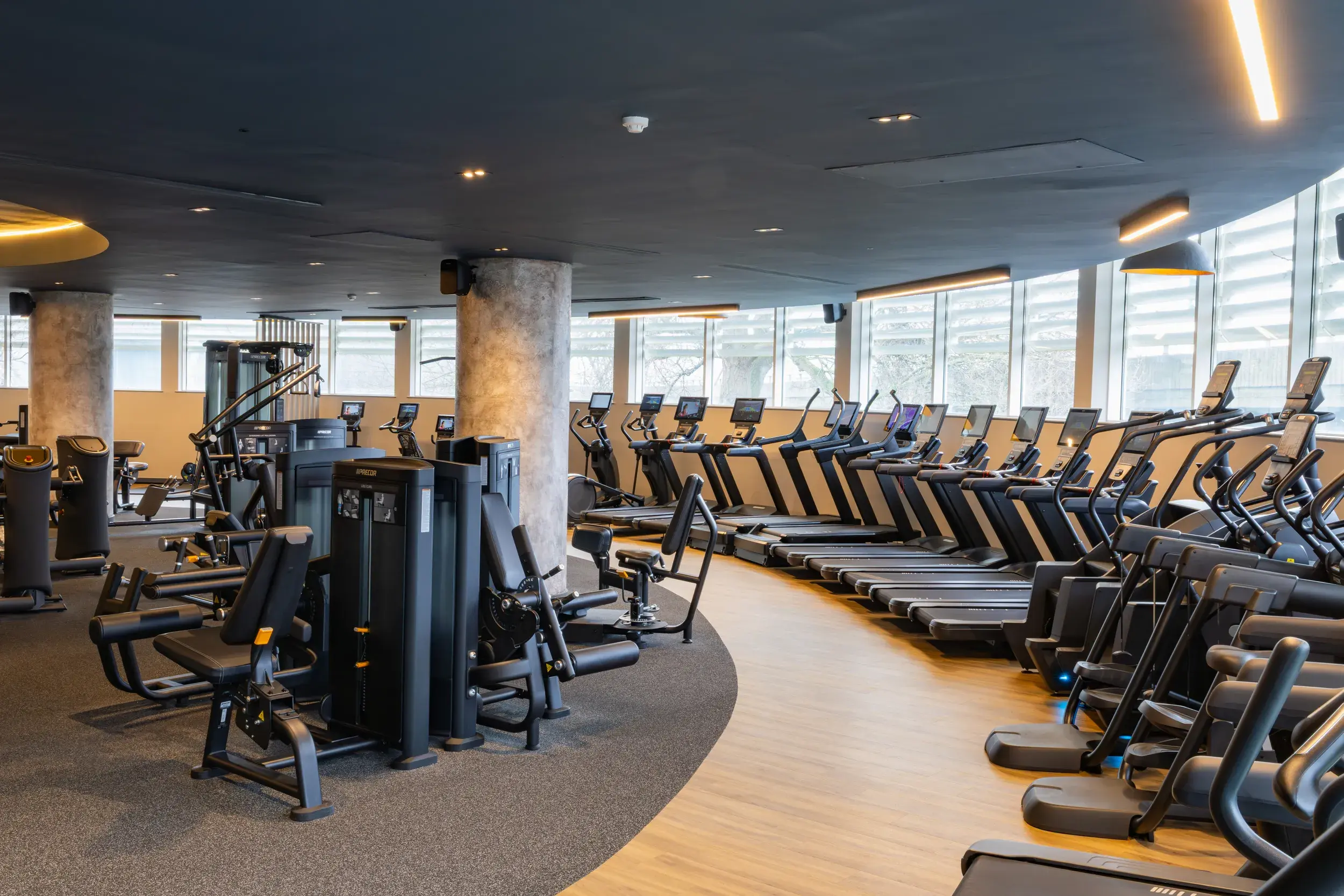 Gym with treadmills and weight machines